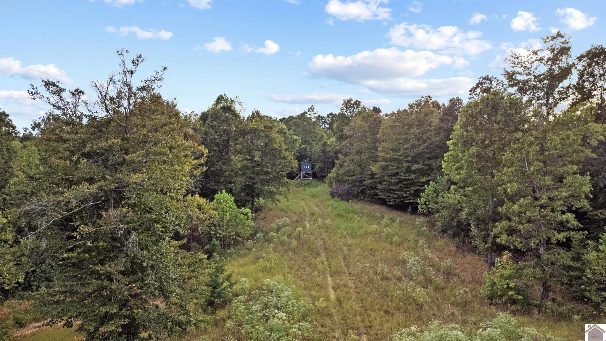000 Rockcastle Road, Cadiz, KY 42211 Listing Photo  1