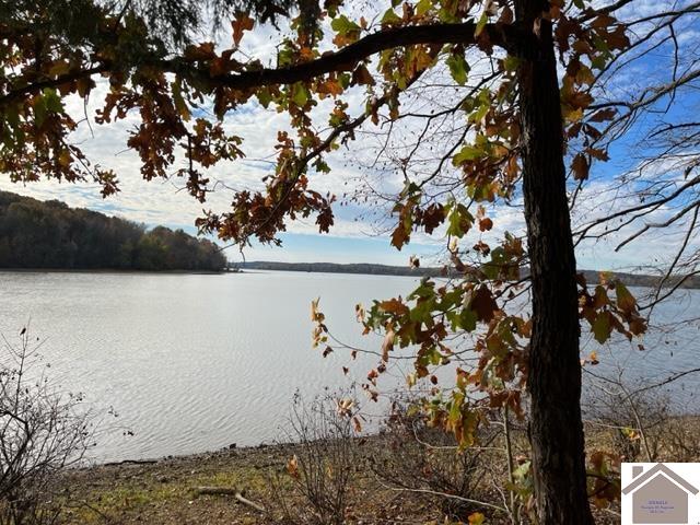 00 Crane Lane Lot 4, Cadiz, KY 42211 Listing Photo  1