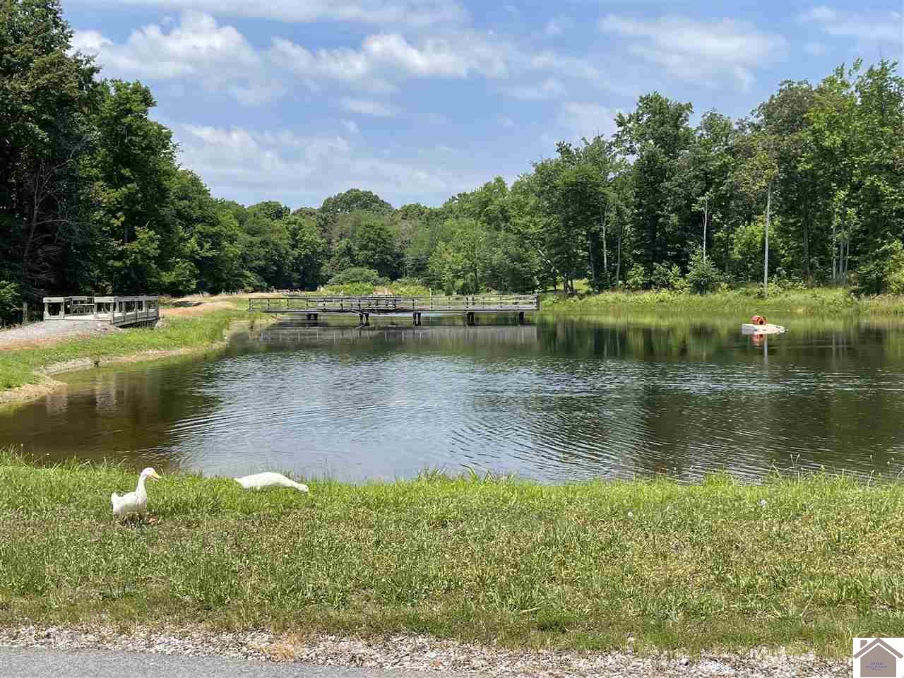 00 Hills Hollow Rd, Murray, KY 42071 Listing Photo  7