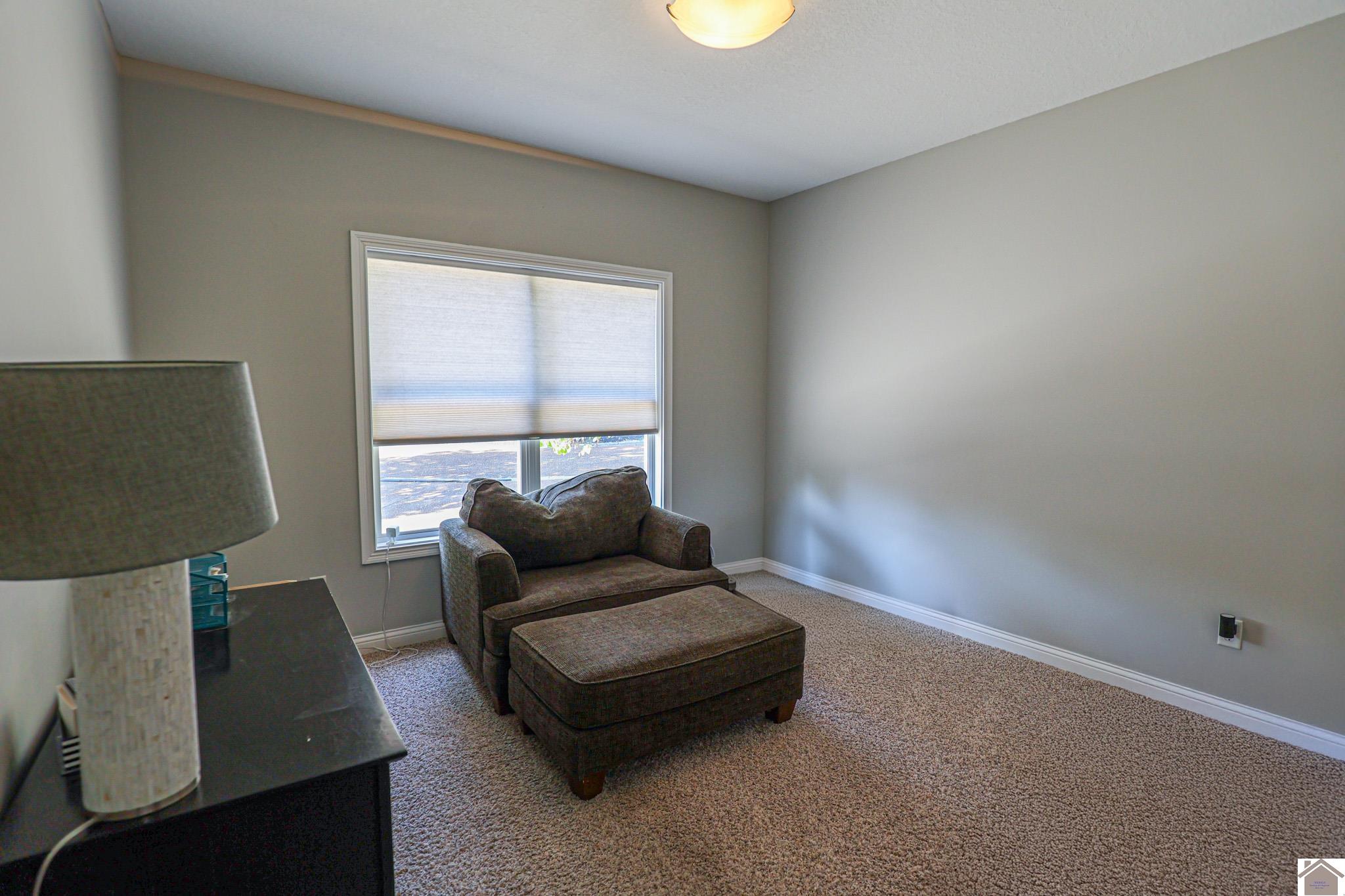 1067 Lakeview Drive, Paducah, KY 42003 Listing Photo  39