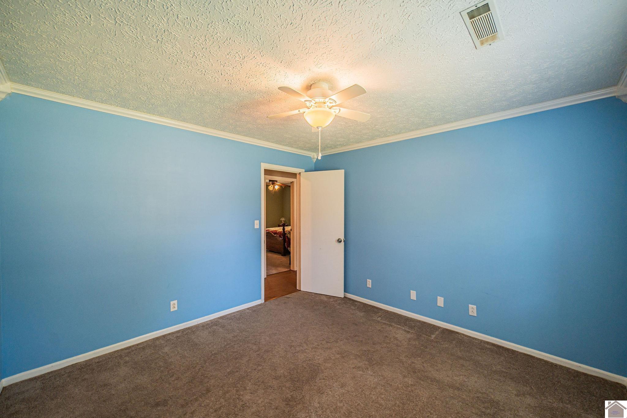 6230 Connie Sue Avenue, Paducah, KY 42001 Listing Photo  21
