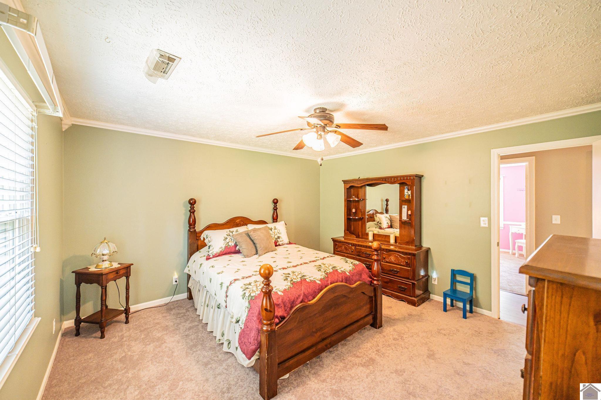 6230 Connie Sue Avenue, Paducah, KY 42001 Listing Photo  26