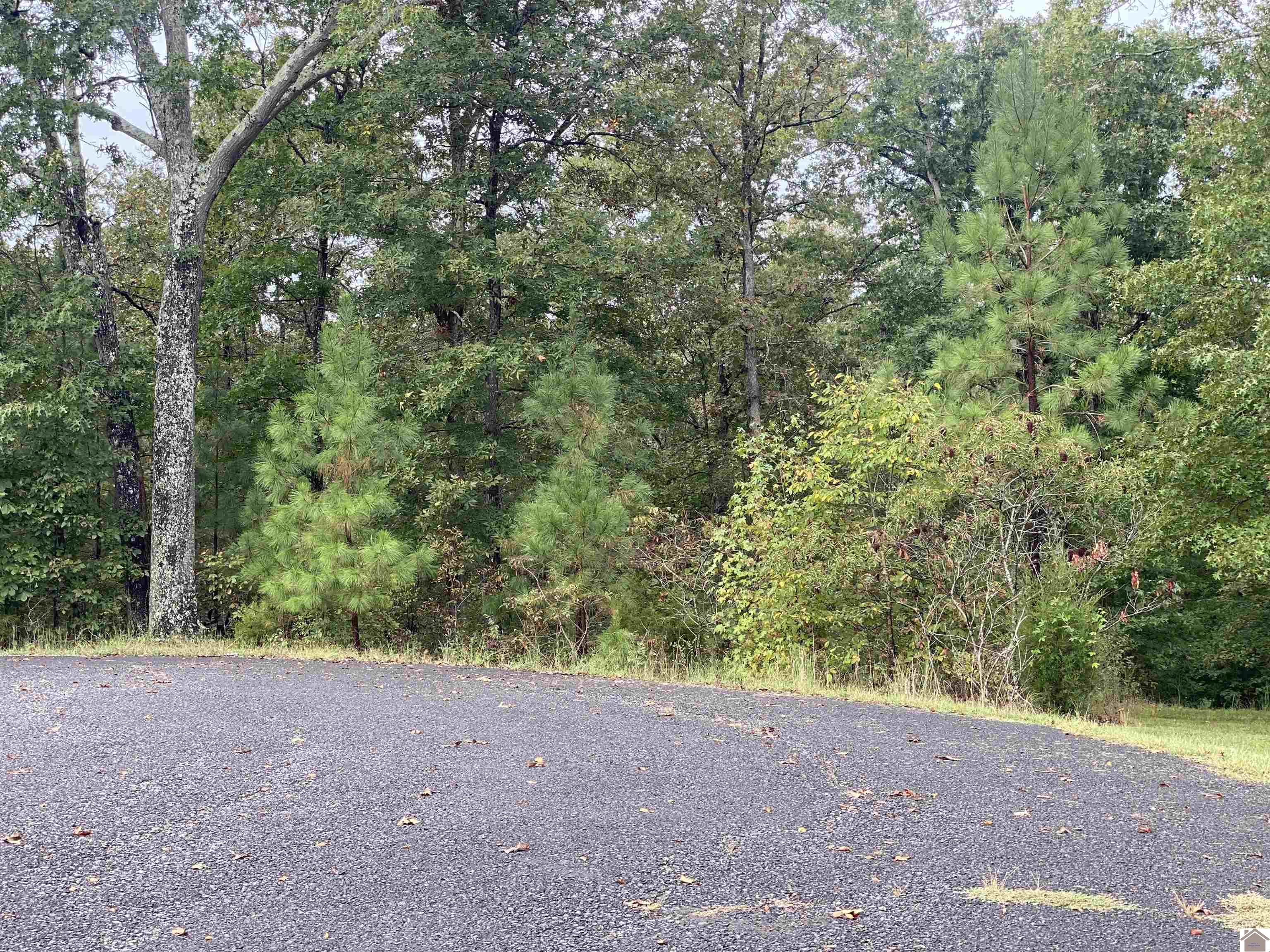Lot 184 Yellowbird Lane, Murray, KY 42071 Listing Photo  2