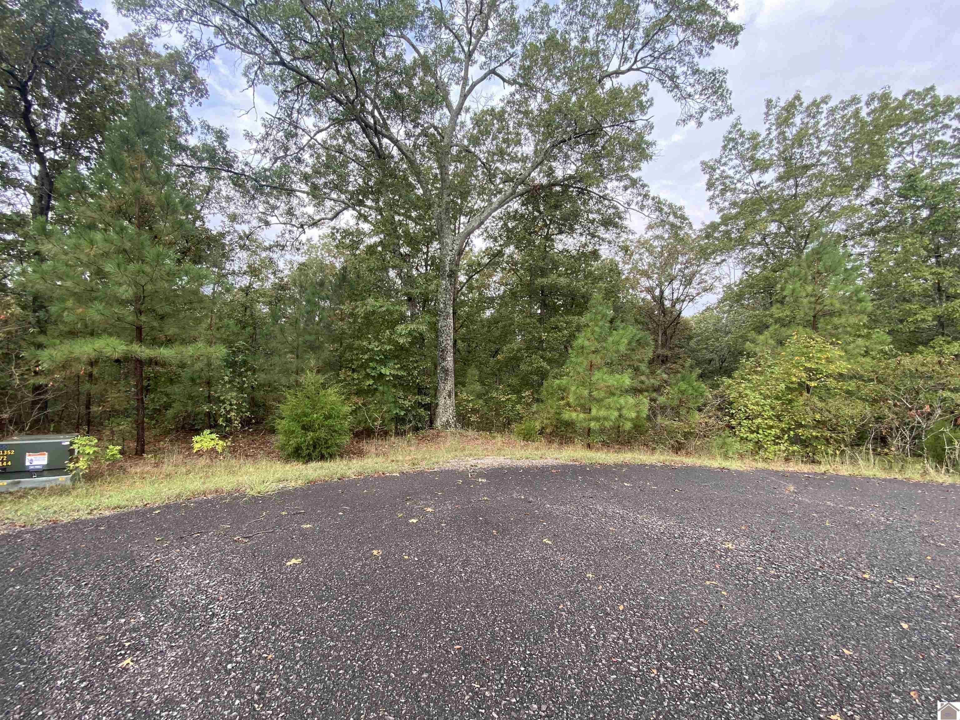 Lot 184 Yellowbird Lane, Murray, KY 42071 Listing Photo  11
