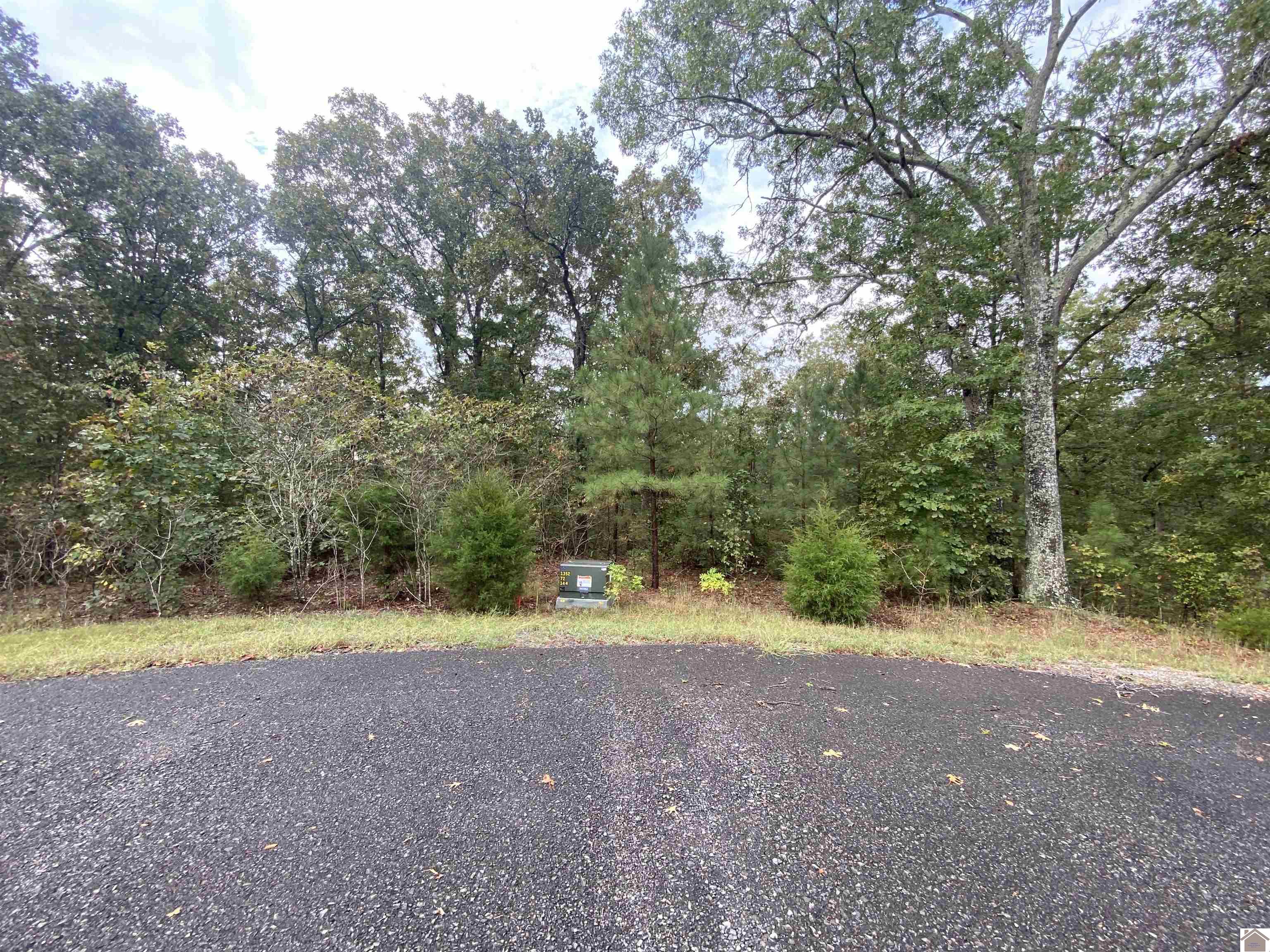 Lot 184 Yellowbird Lane, Murray, KY 42071 Listing Photo  12