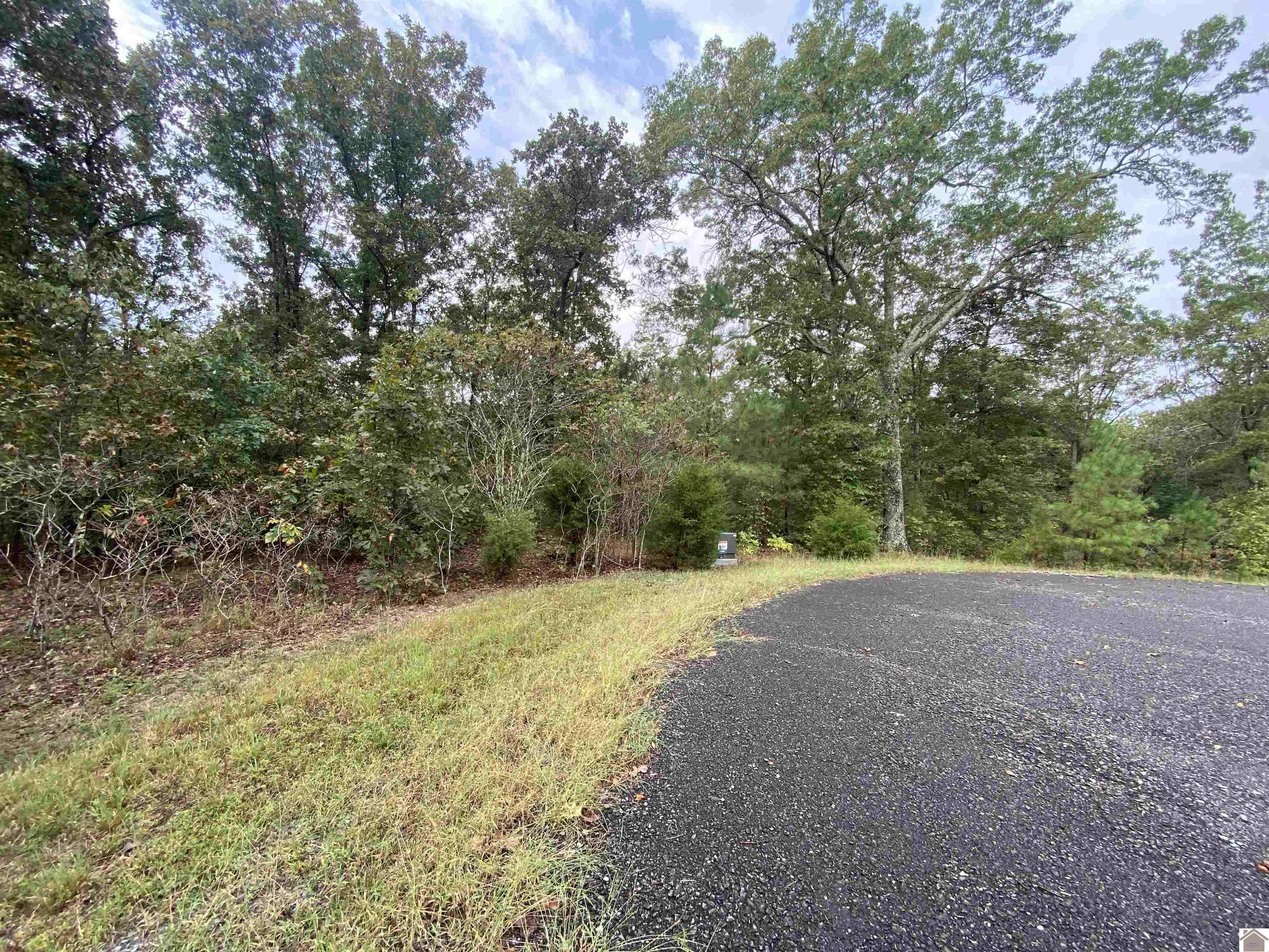 Lot 184 Yellowbird Lane, Murray, KY 42071 Listing Photo  13
