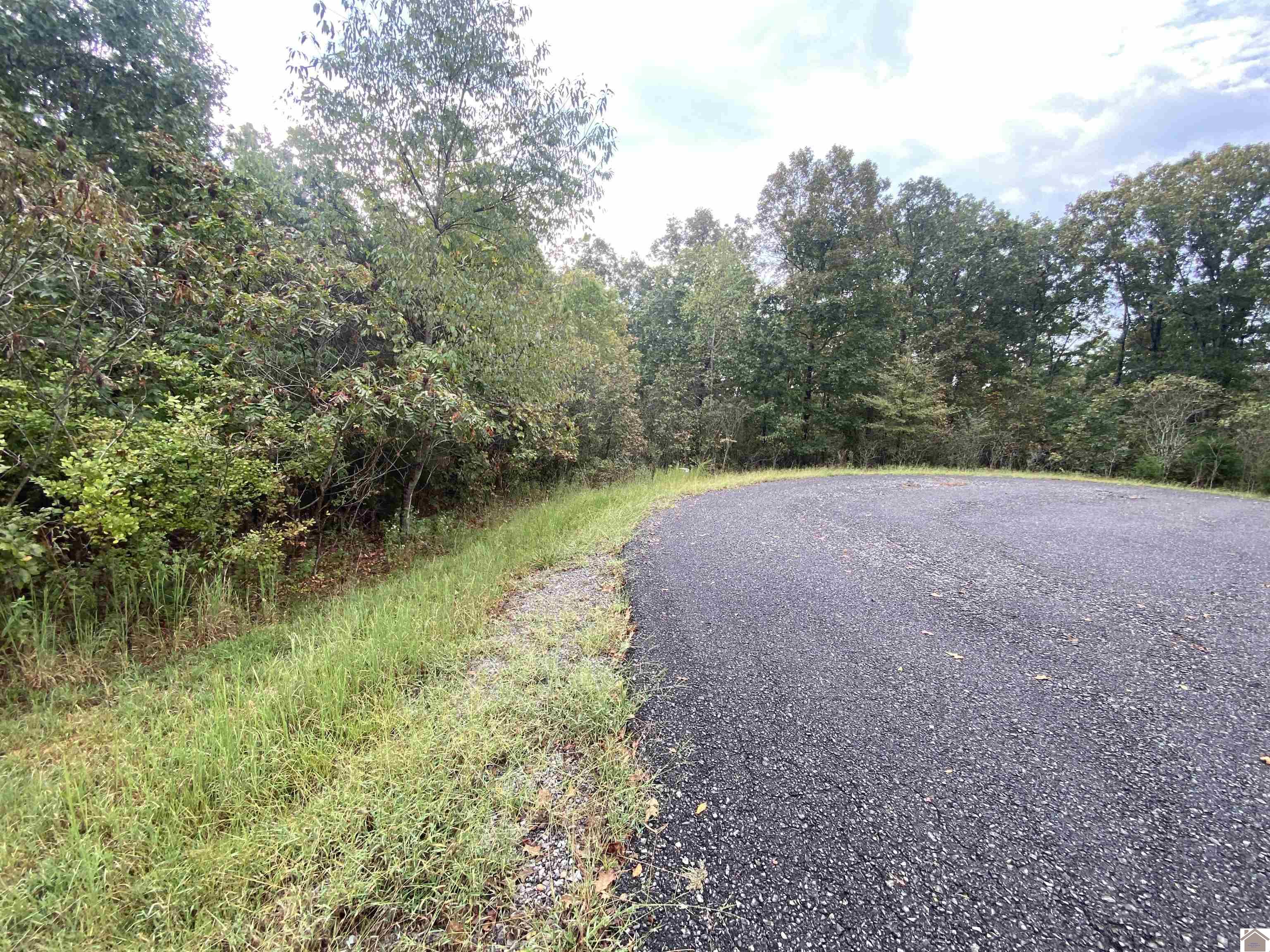 Lot 184 Yellowbird Lane, Murray, KY 42071 Listing Photo  16