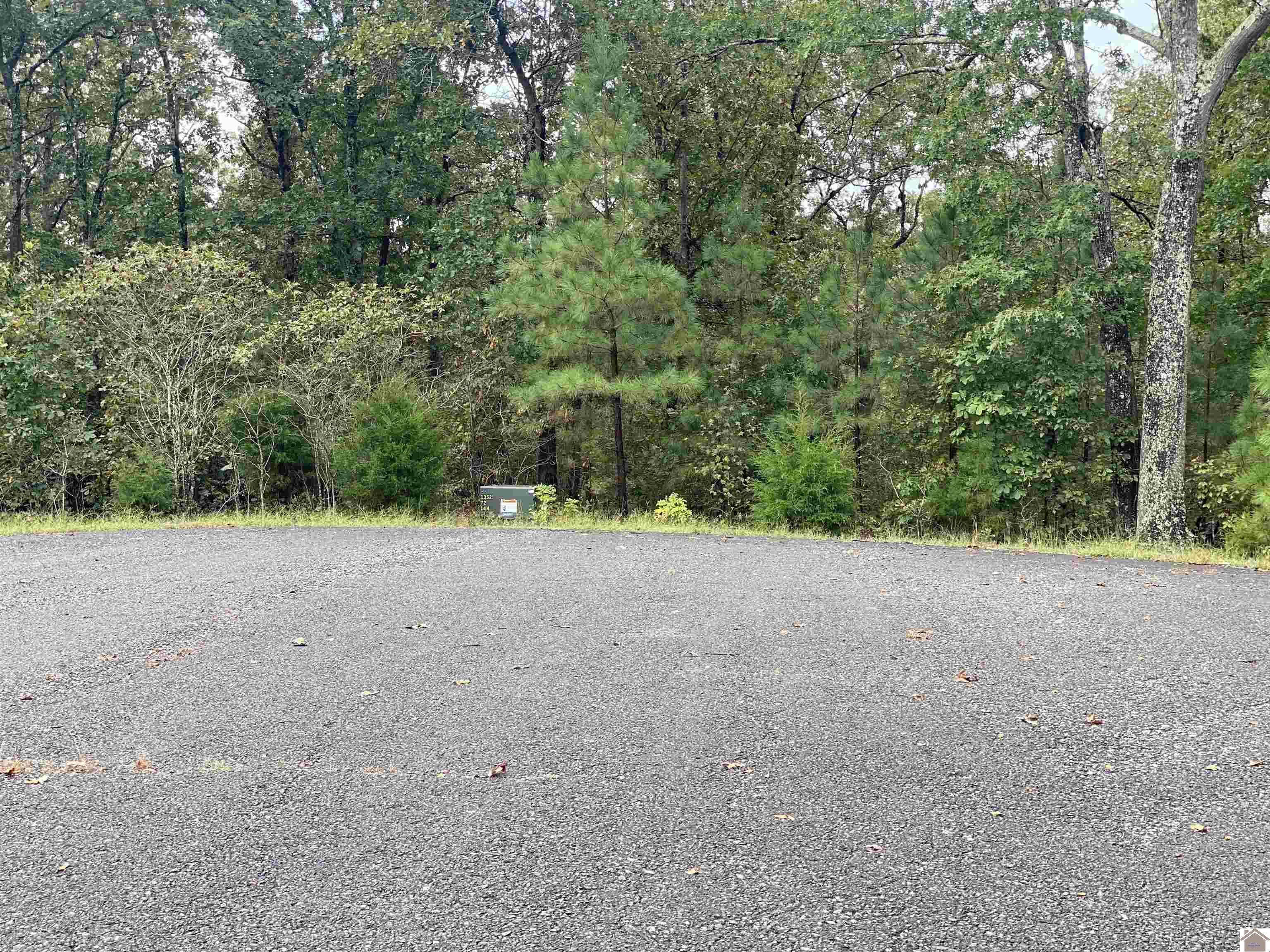 Lot 184 Yellowbird Lane, Murray, KY 42071 Listing Photo  3