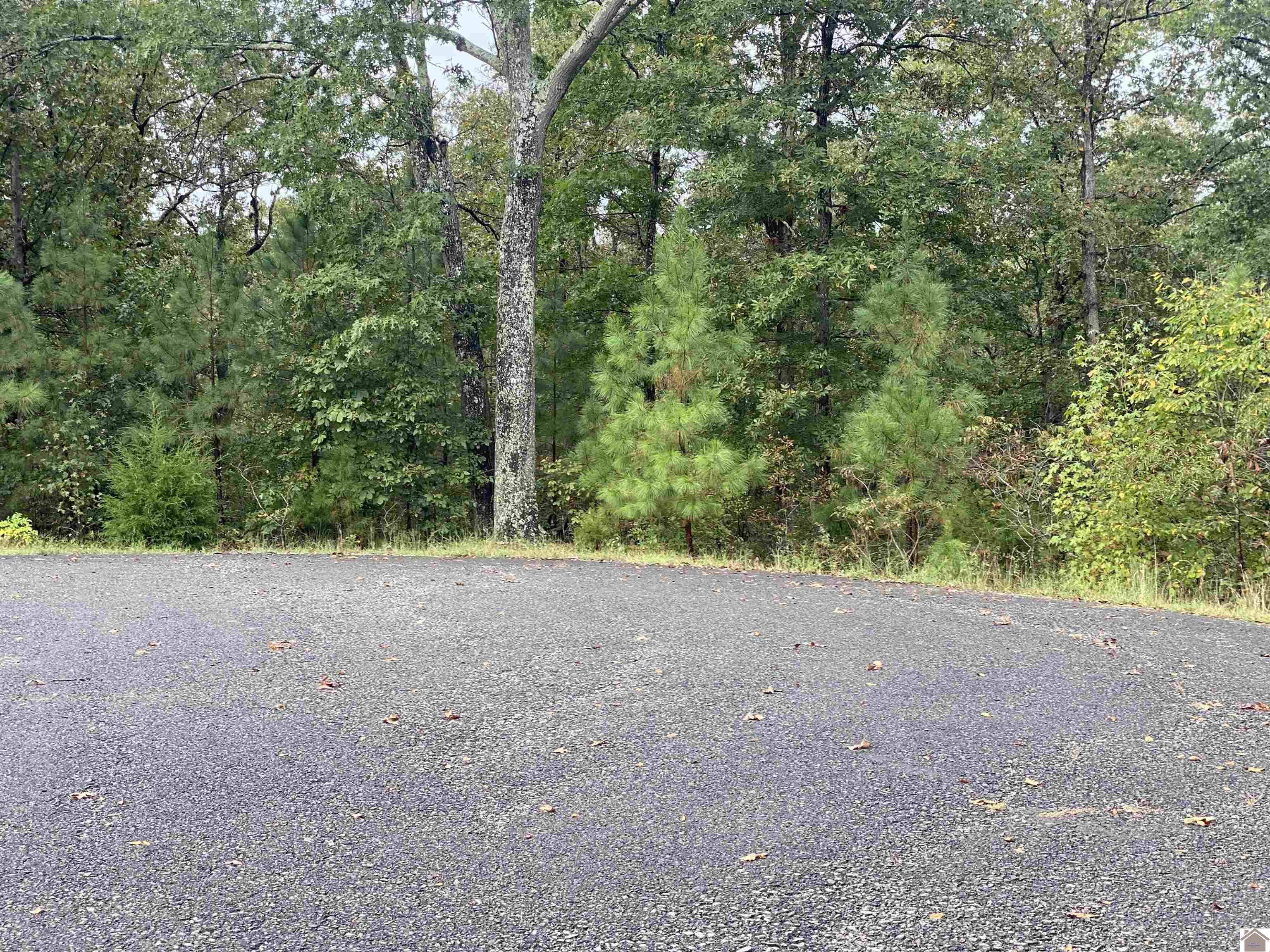 Lot 184 Yellowbird Lane, Murray, KY 42071 Listing Photo  4