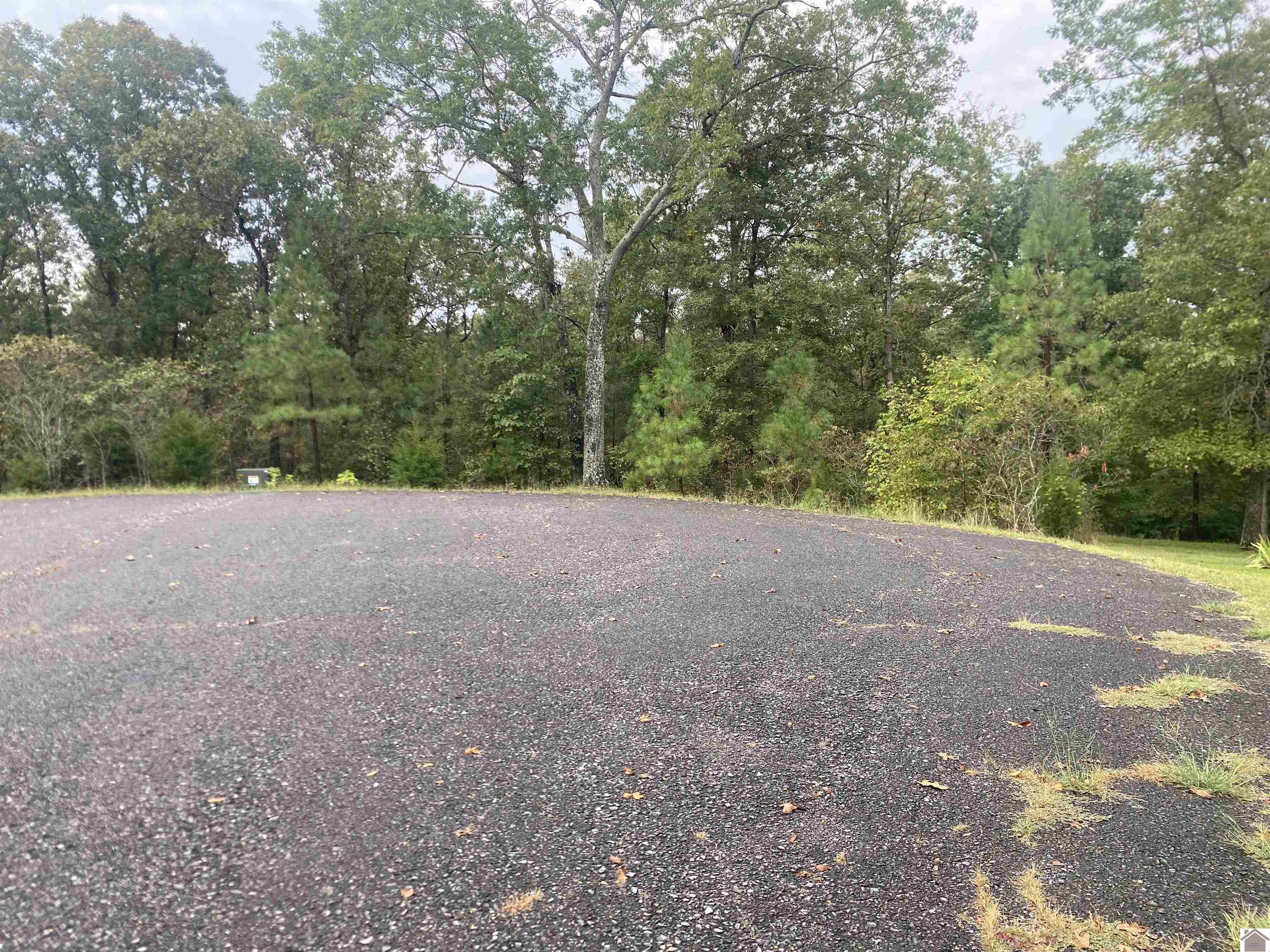 Lot 184 Yellowbird Lane, Murray, KY 42071 Listing Photo  5