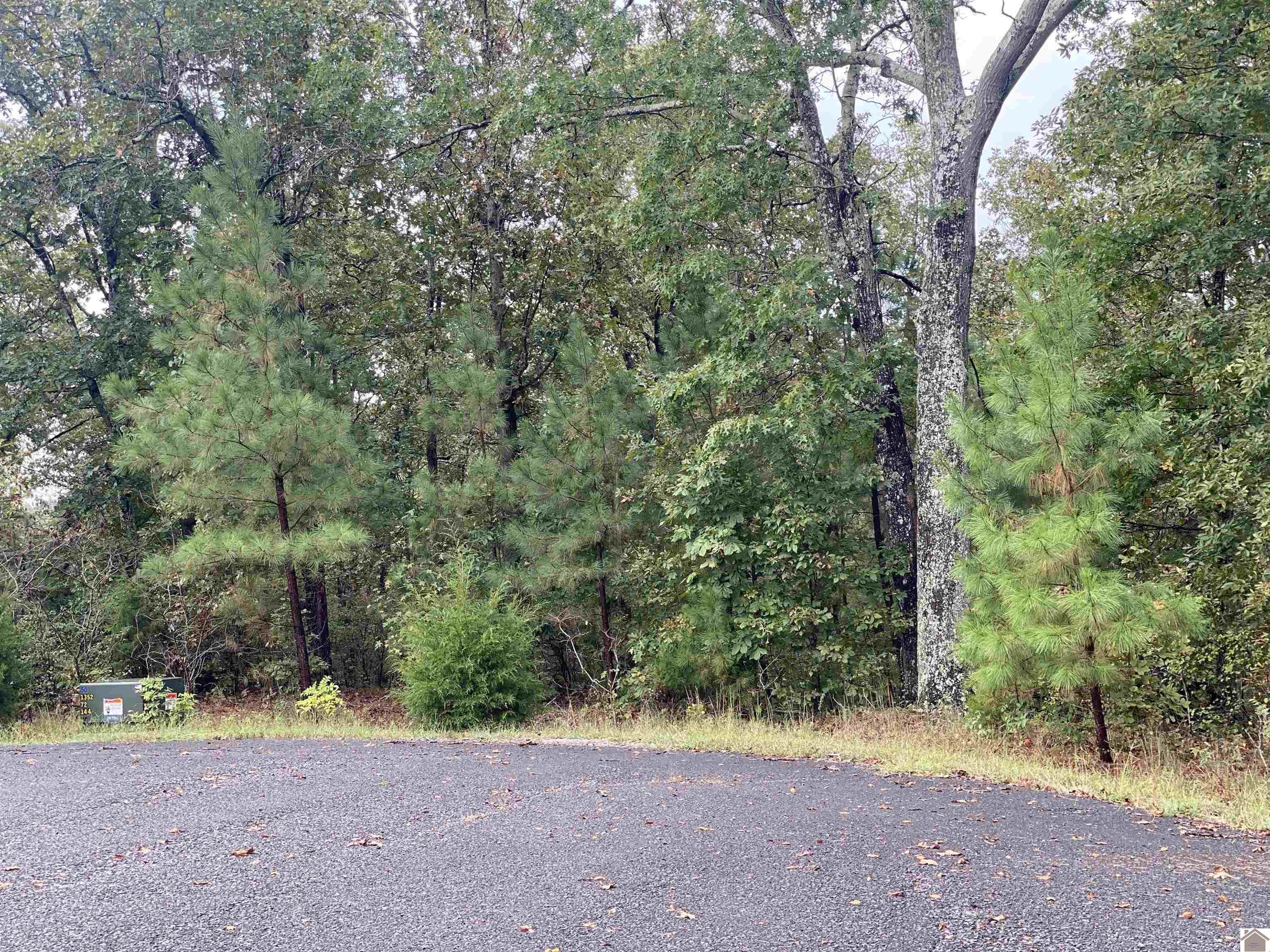 Lot 184 Yellowbird Lane, Murray, KY 42071 Listing Photo  7