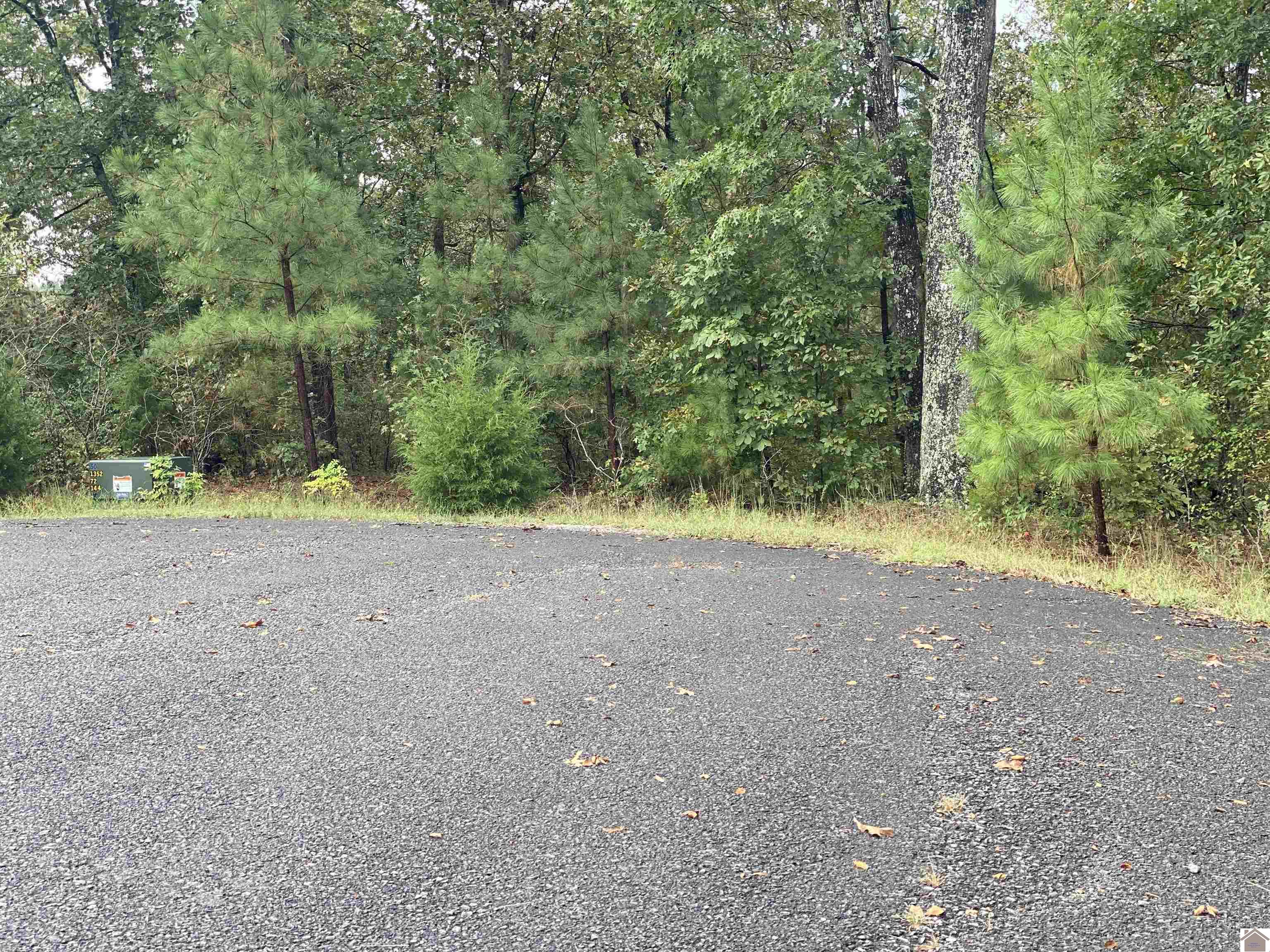 Lot 184 Yellowbird Lane, Murray, KY 42071 Listing Photo  8
