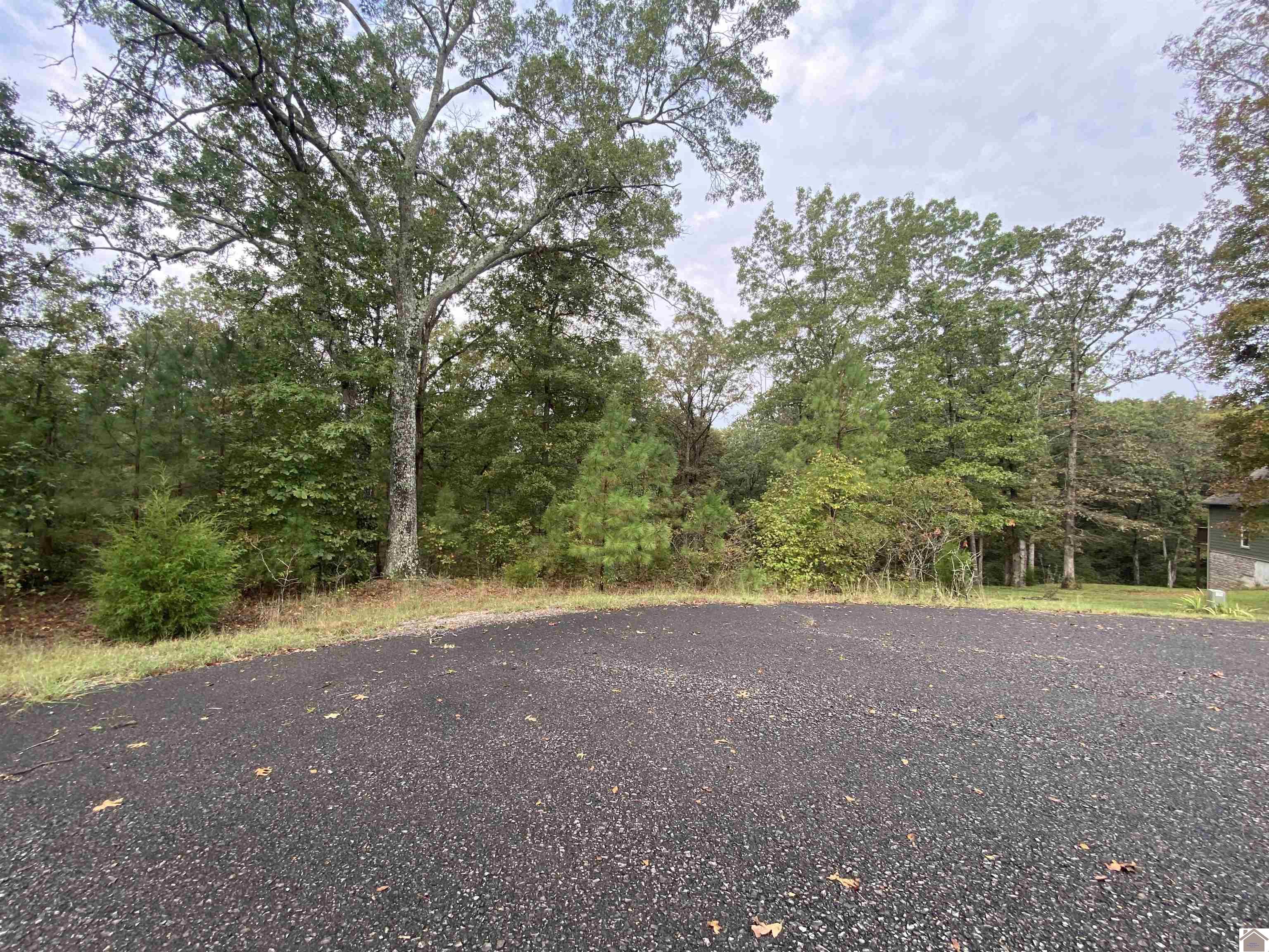 Lot 184 Yellowbird Lane, Murray, KY 42071 Listing Photo  10