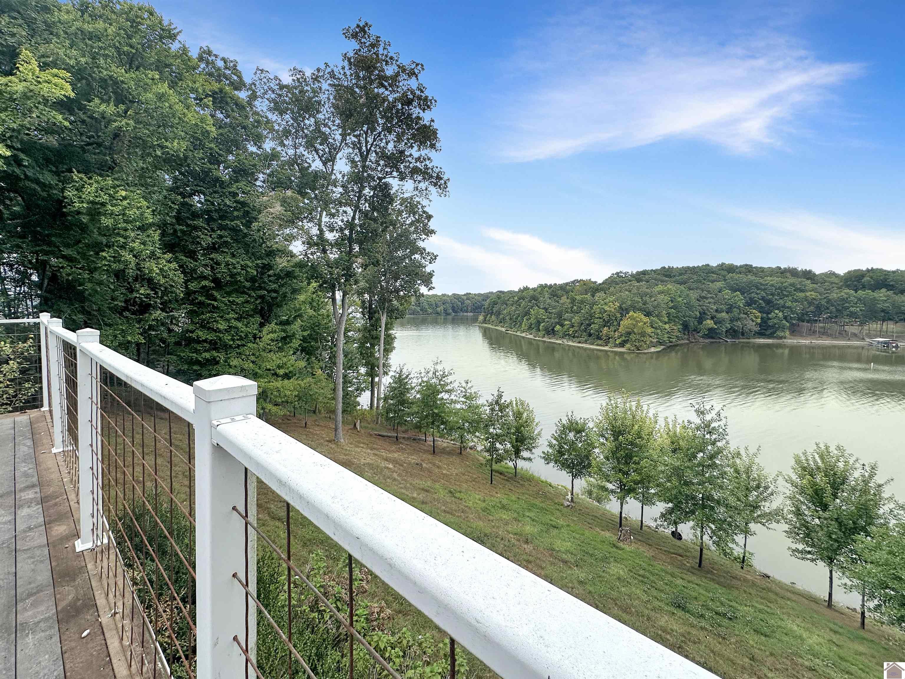 208 Goose Creek Dr, Cadiz, KY 42211 Listing Photo  26