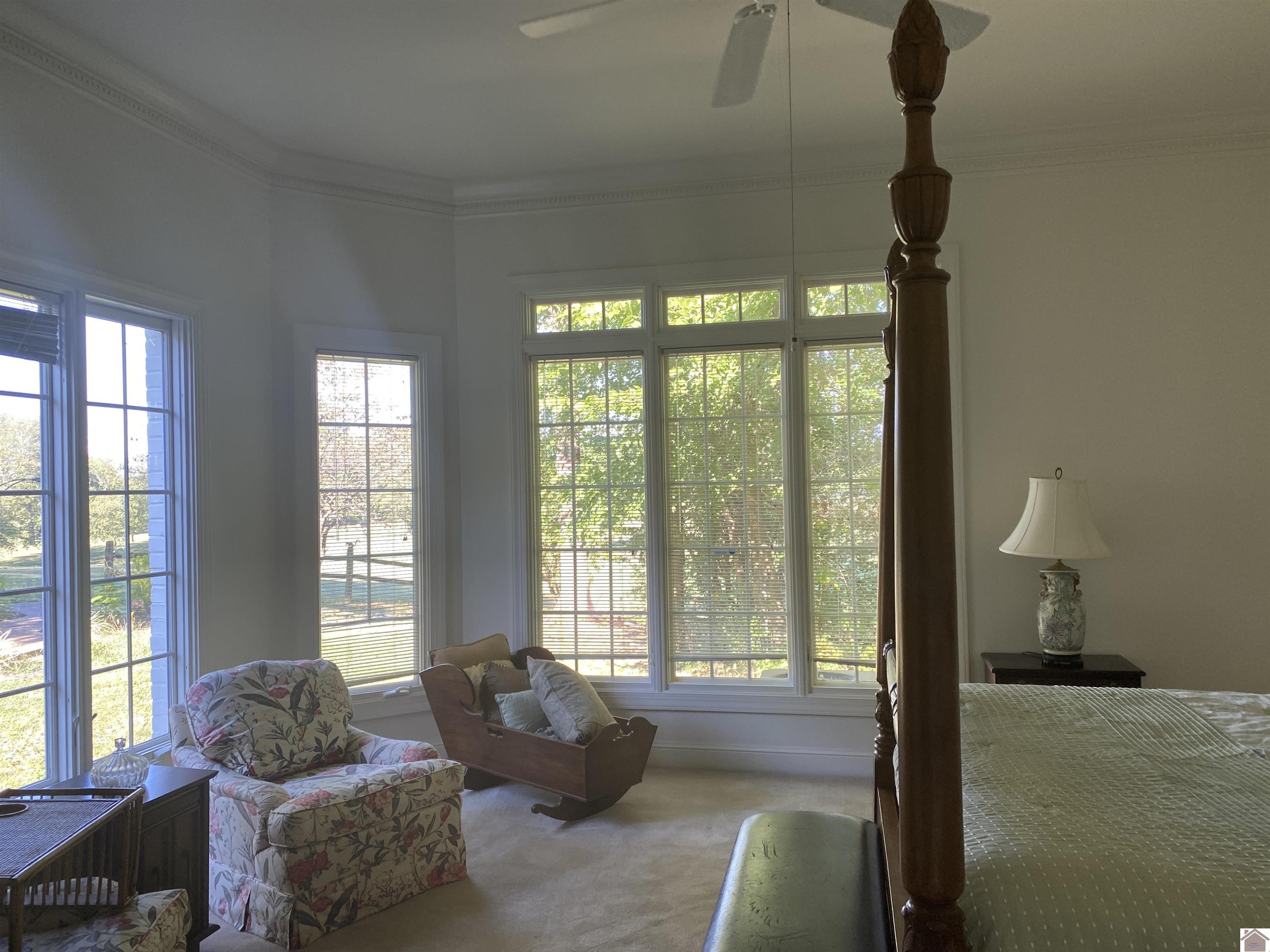 116 Arbor Crest Dr, Mayfield, KY 42066 Listing Photo  36