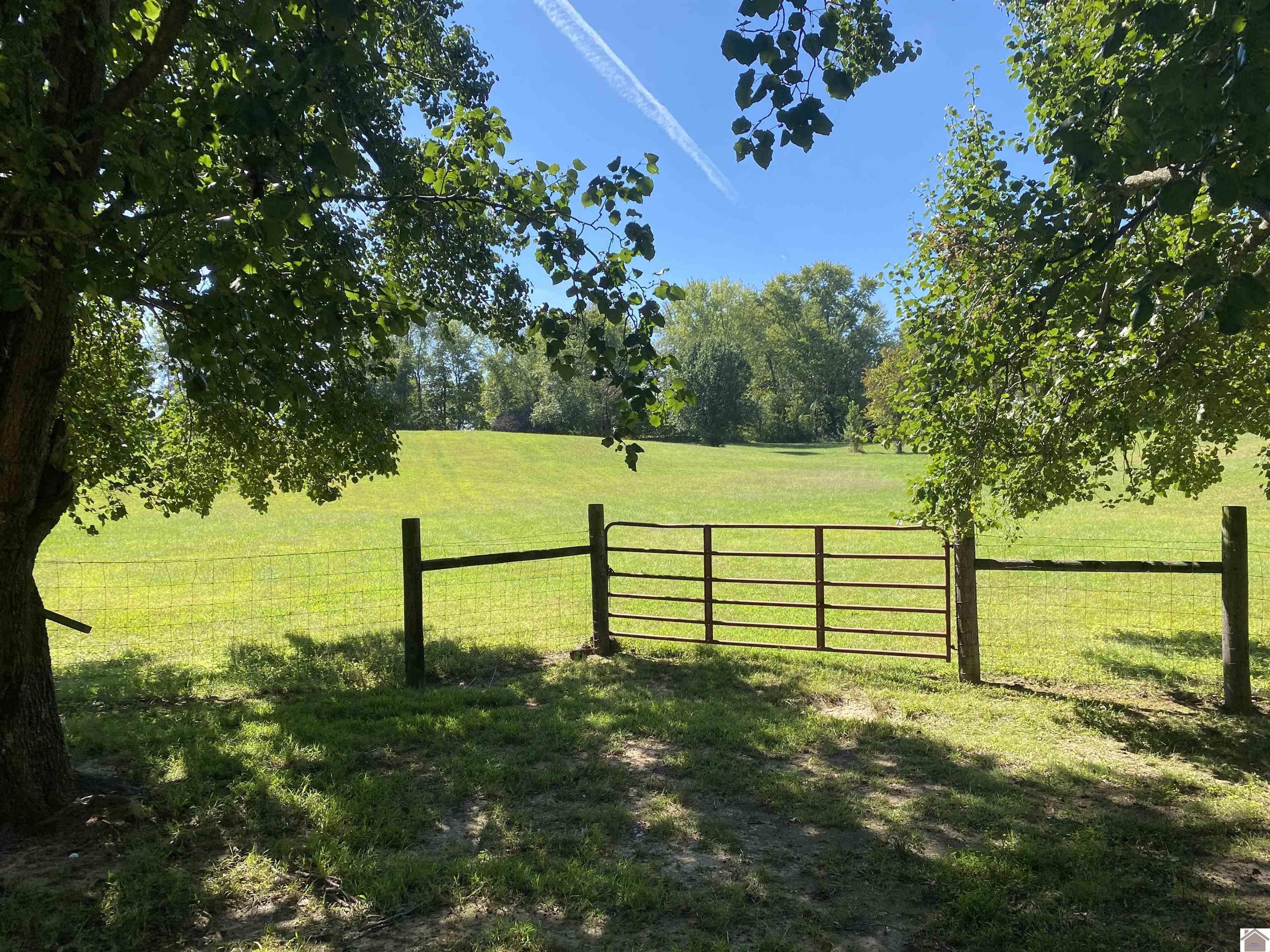 116 Arbor Crest Dr, Mayfield, KY 42066 Listing Photo  40