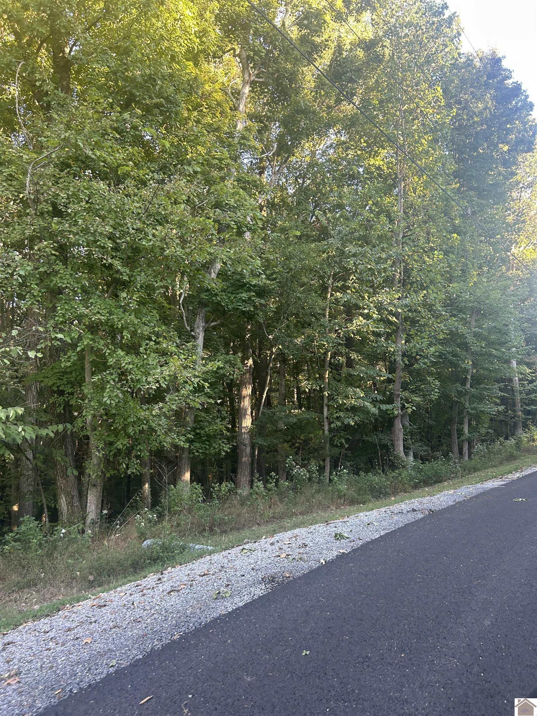 Woodfield Estates, Cadiz, KY 42211 Listing Photo  1