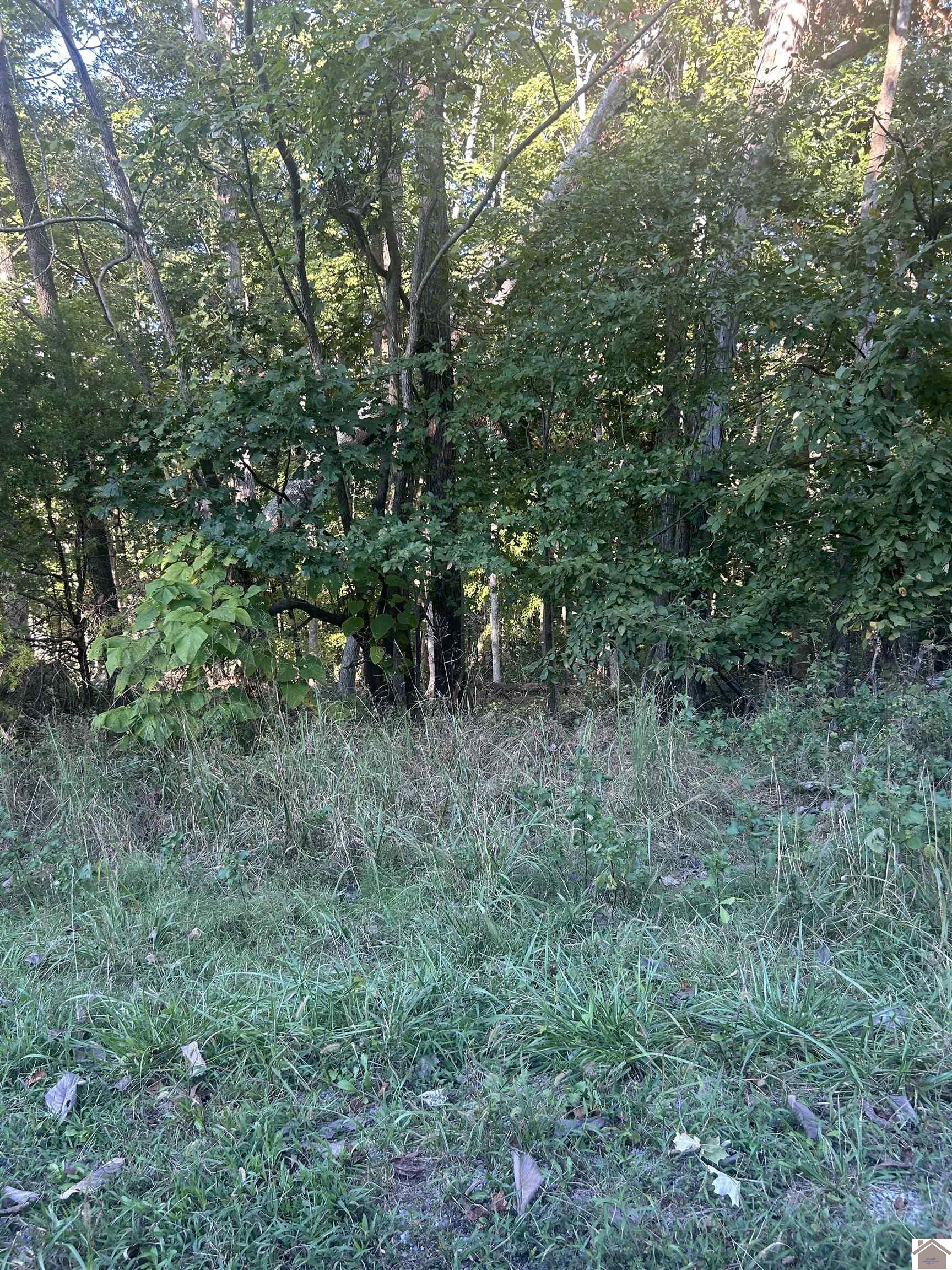 Woodfield Estates, Cadiz, KY 42211 Listing Photo  2