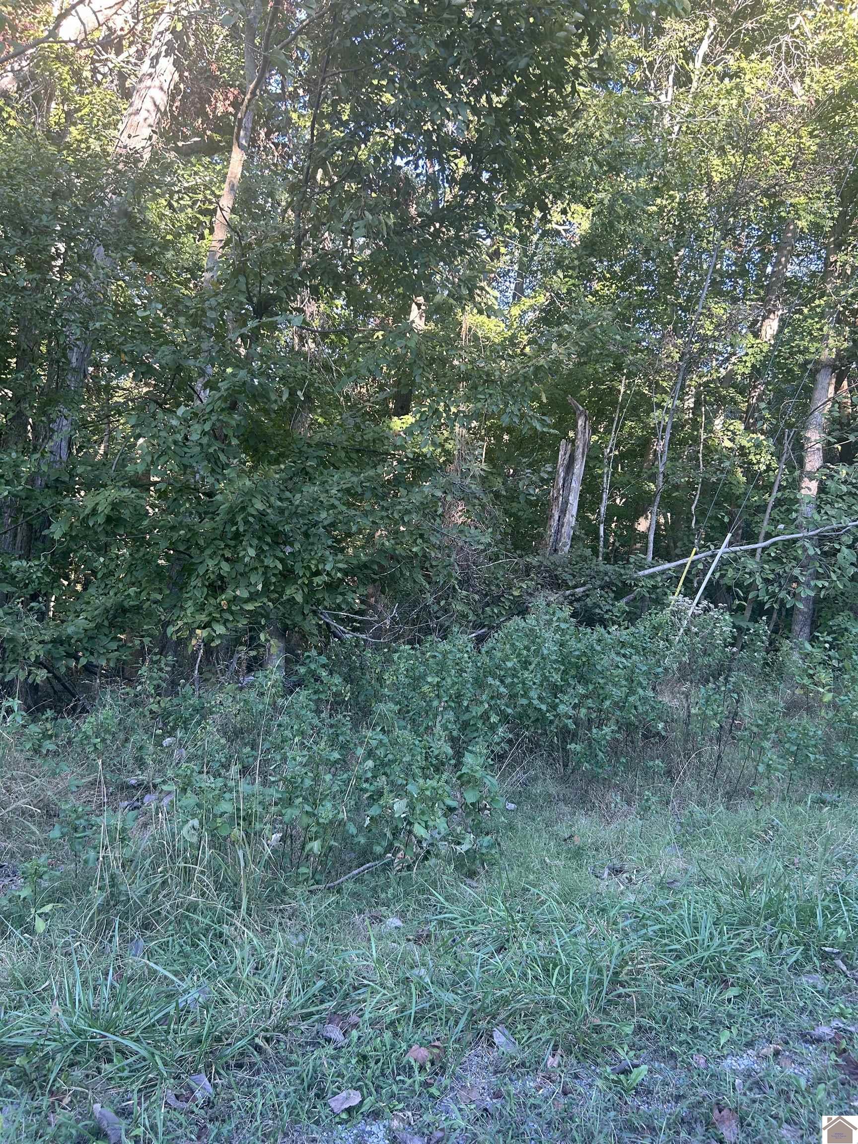 Woodfield Estates, Cadiz, KY 42211 Listing Photo  3