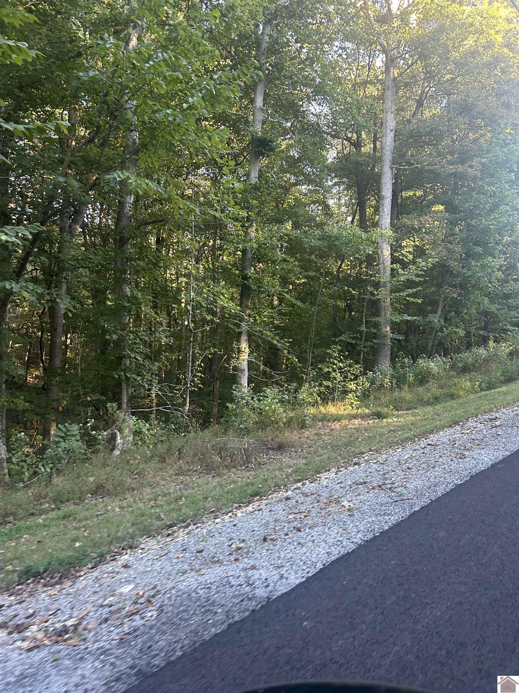 Woodfield Estates, Cadiz, KY 42211 Listing Photo  4