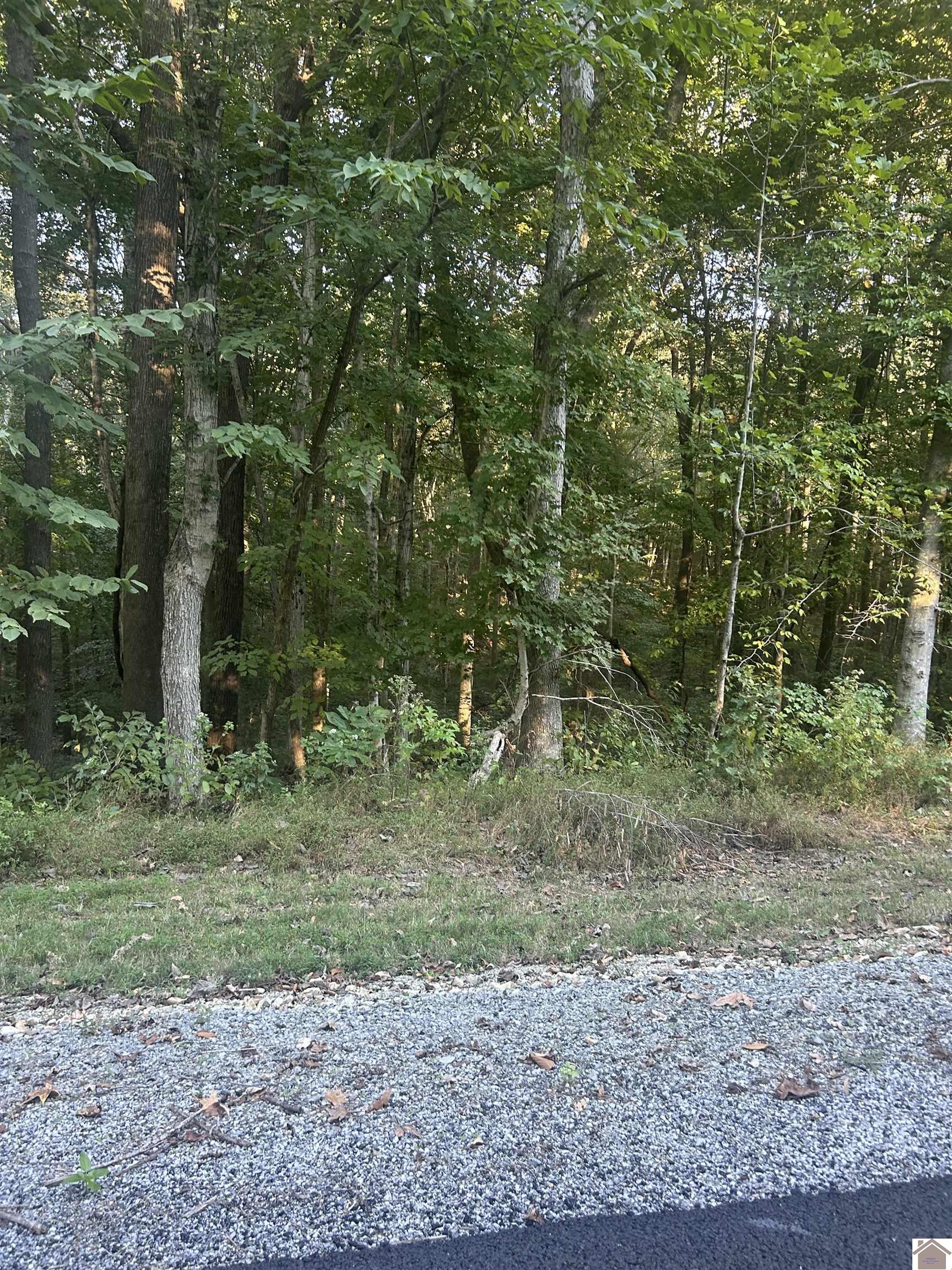 Woodfield Estates, Cadiz, KY 42211 Listing Photo  5