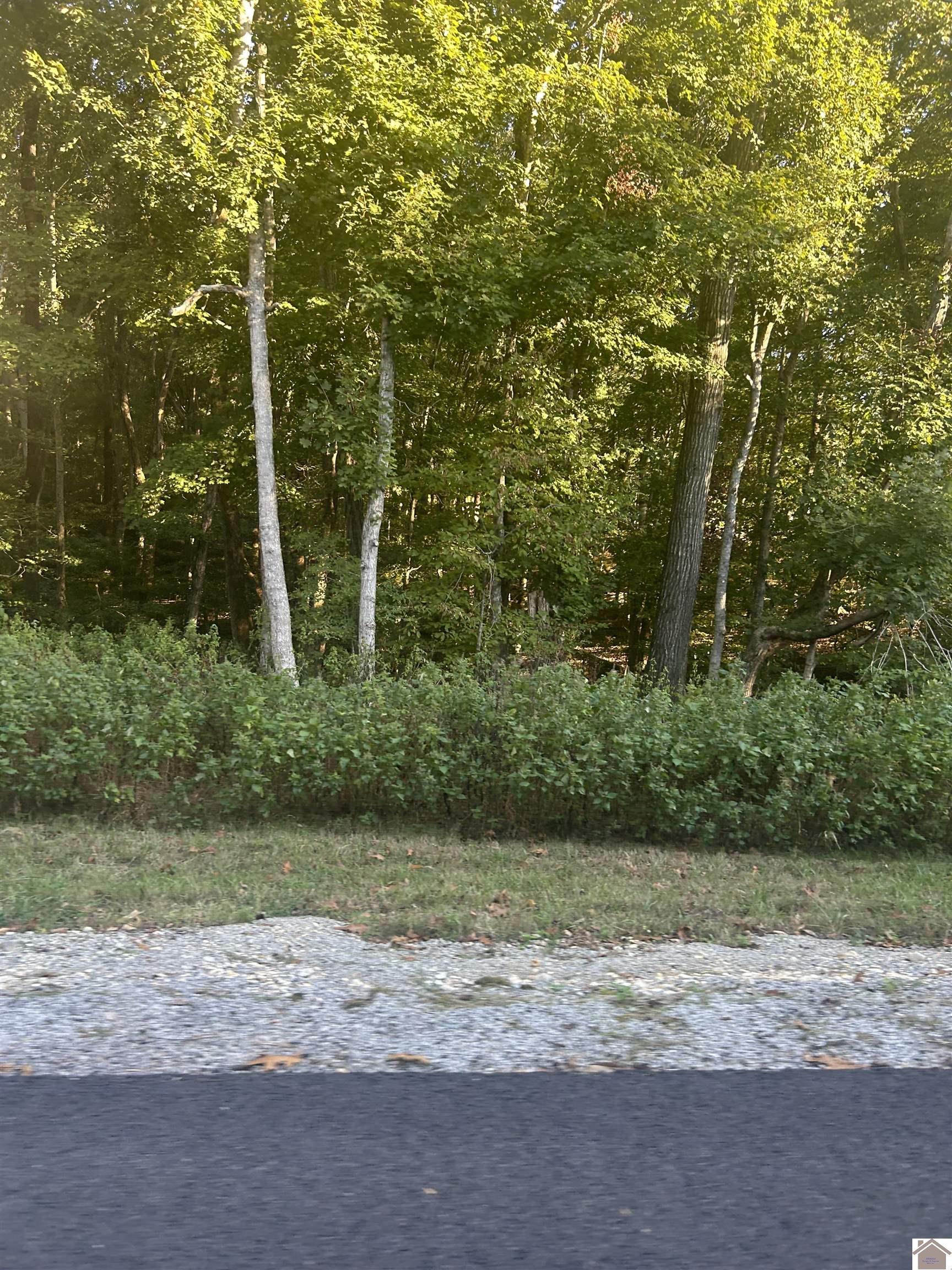 Woodfield Estates, Cadiz, KY 42211 Listing Photo  7