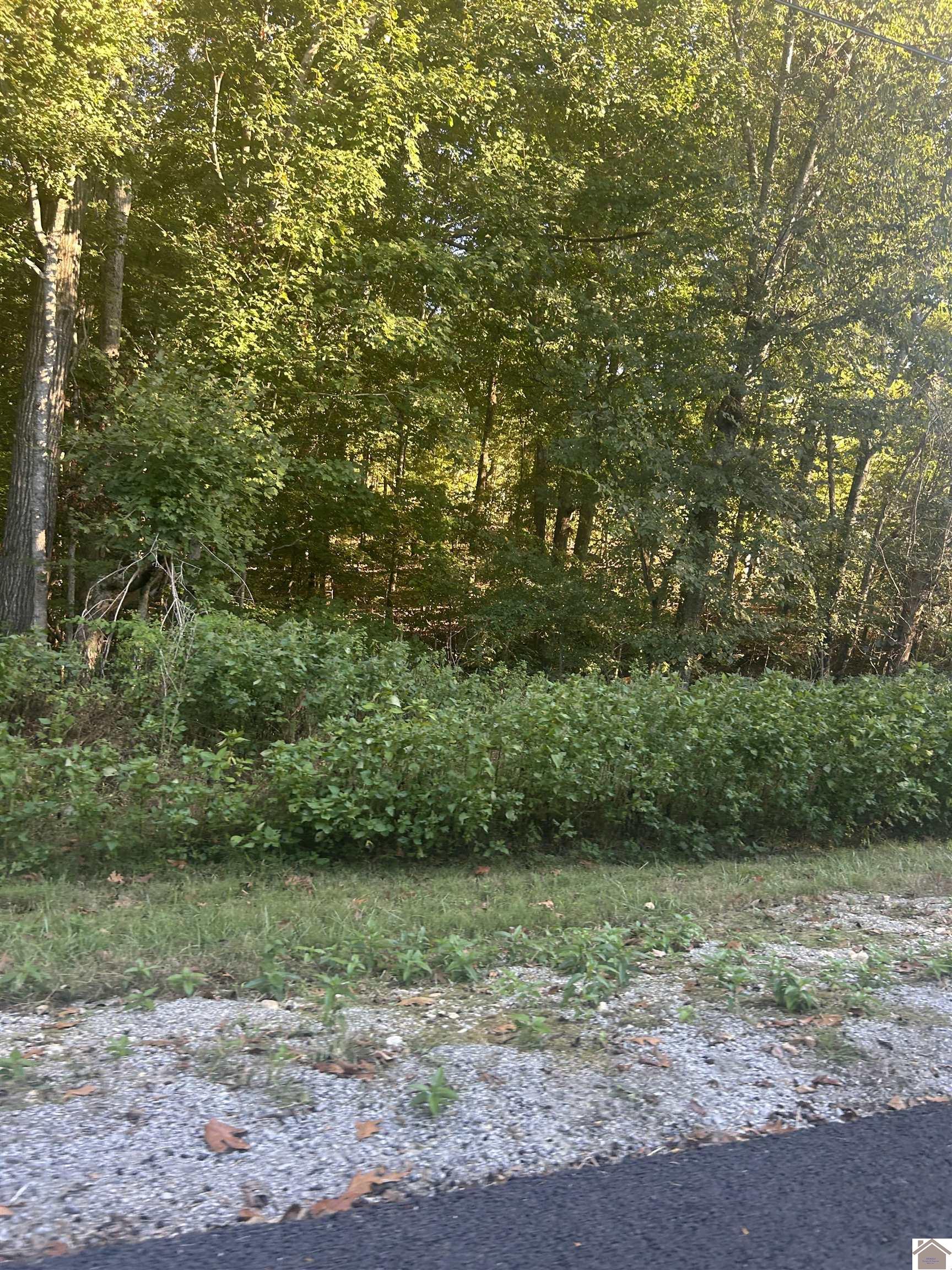 Woodfield Estates, Cadiz, KY 42211 Listing Photo  8