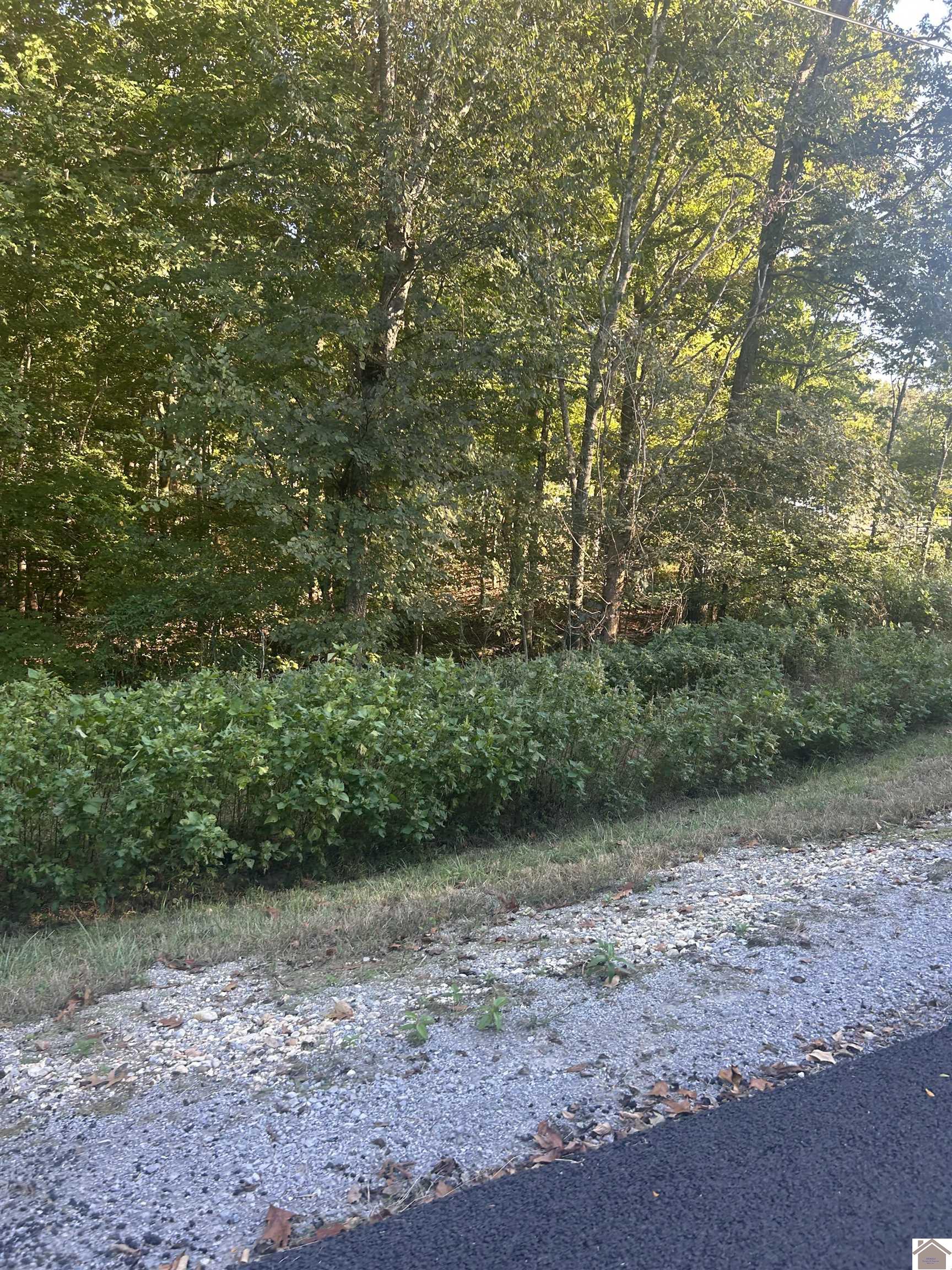 Woodfield Estates, Cadiz, KY 42211 Listing Photo  9