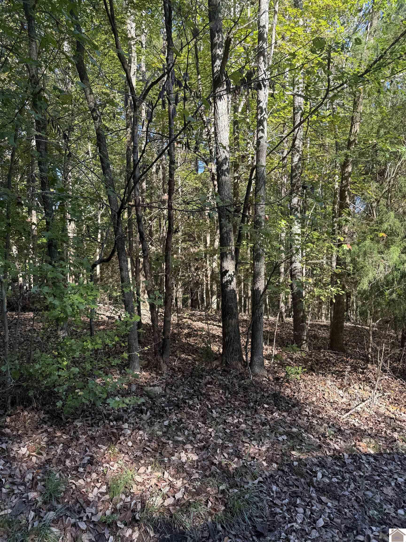 134 Sunset Court, Cadiz, KY 42211 Listing Photo  1