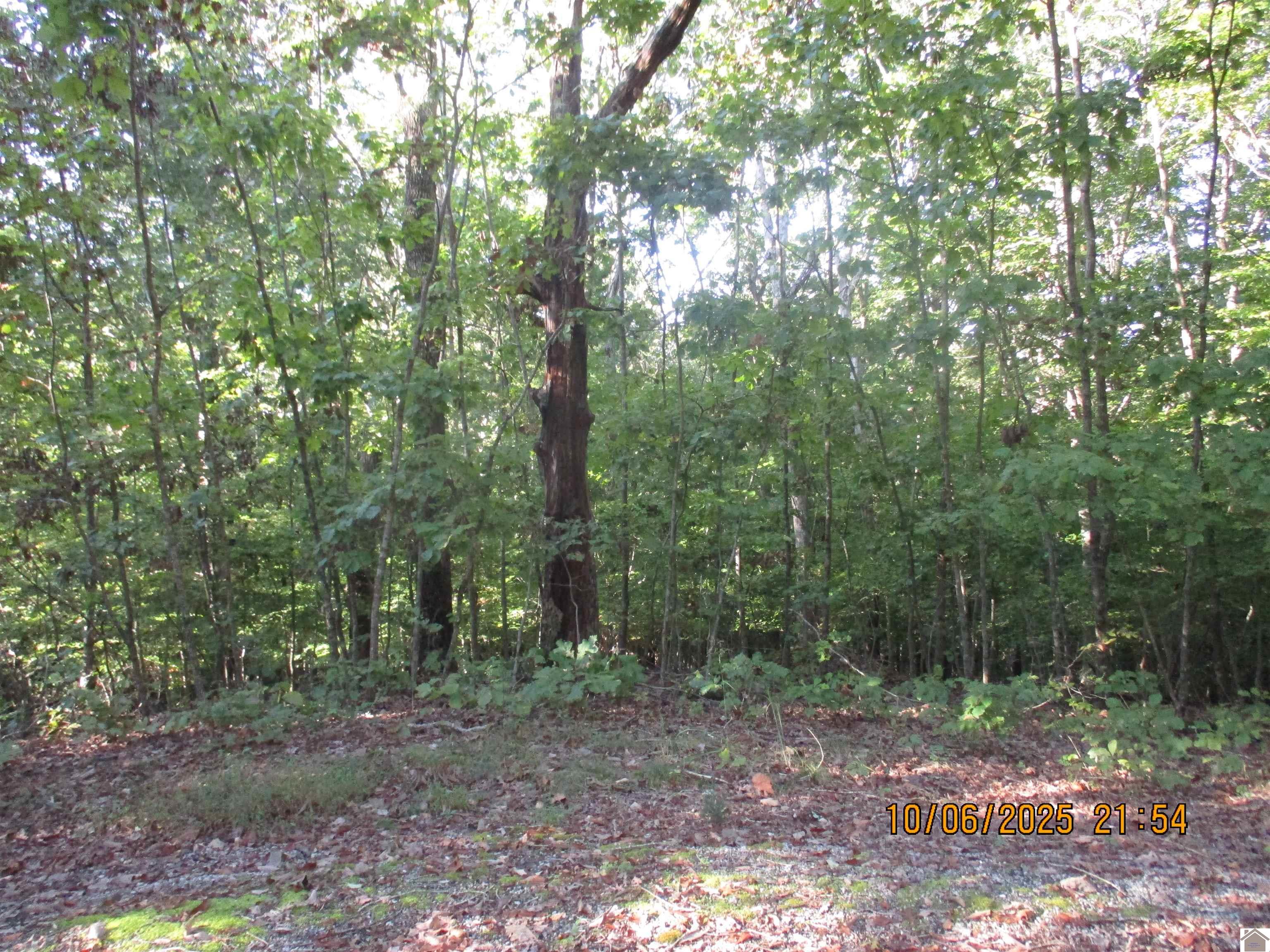 00 Lakeside Circle, Cadiz, KY 42211 Listing Photo  1