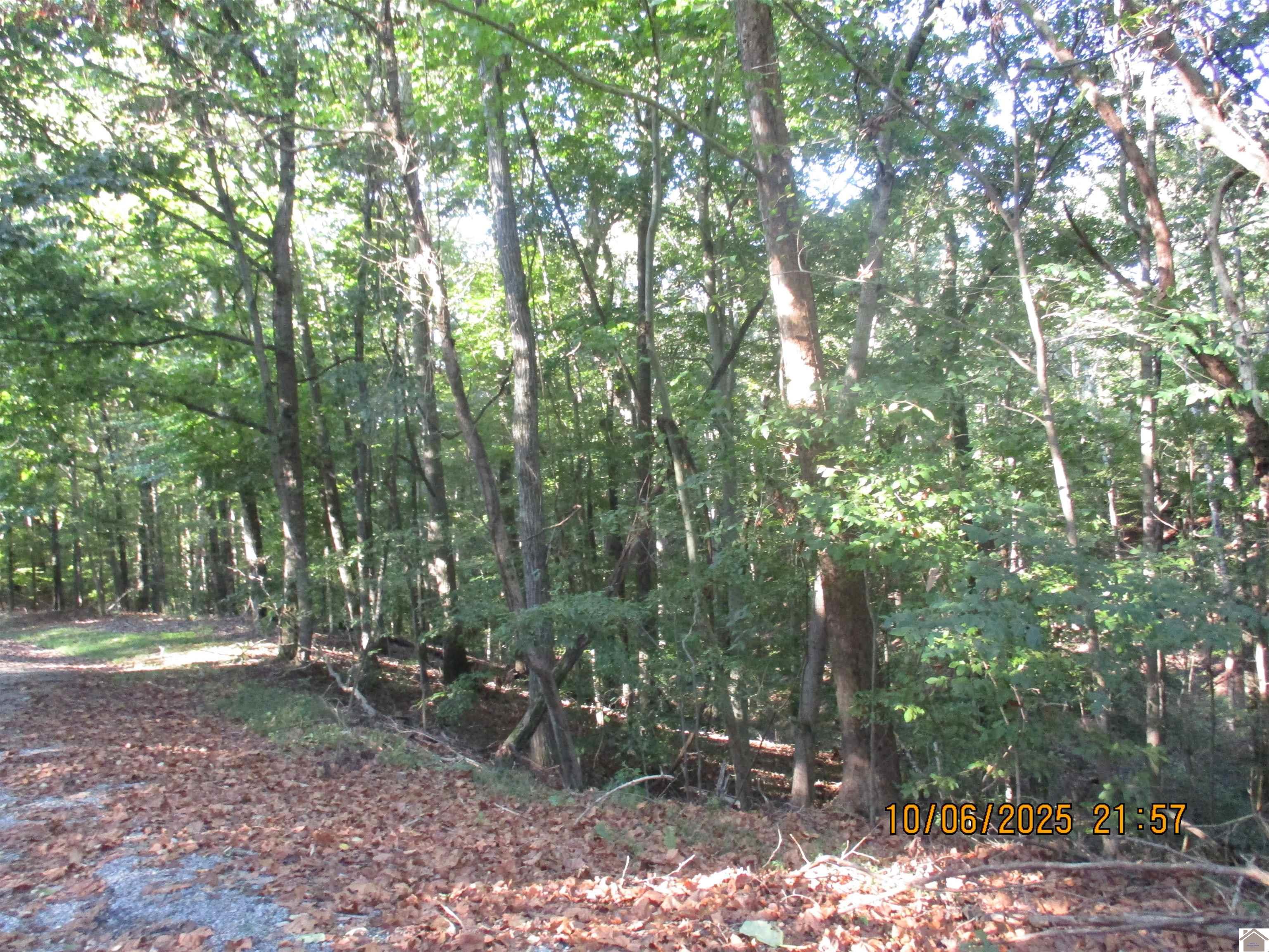 00 Quail Ridge Rd, Cadiz, KY 42211 Listing Photo  1