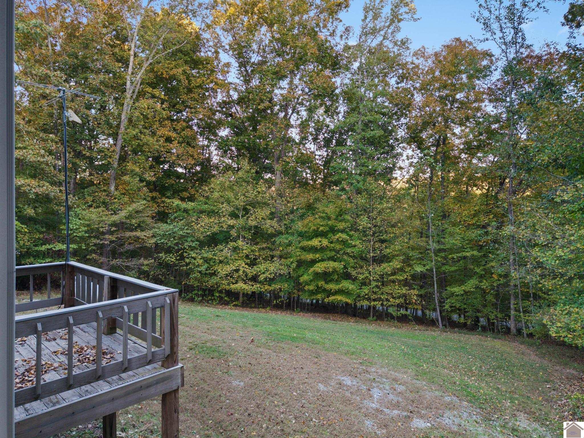 698 Walnut Drive, Cadiz, KY 42211 Listing Photo  25