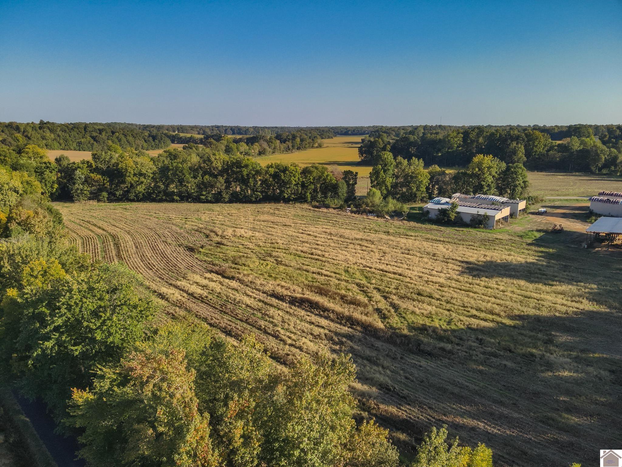 000 State Route 58, Mayfield, KY 42066 Listing Photo  1