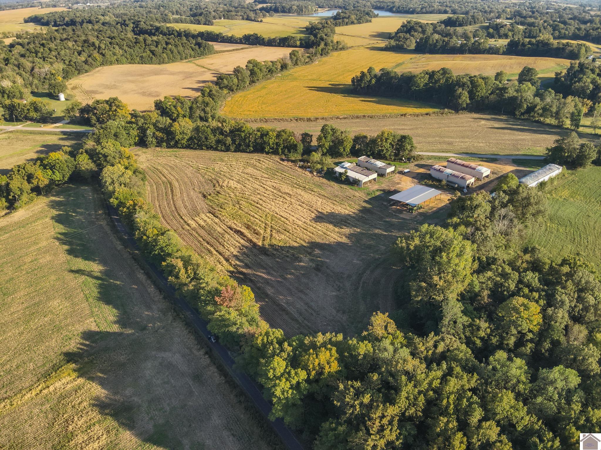 000 State Route 58, Mayfield, KY 42066 Listing Photo  2