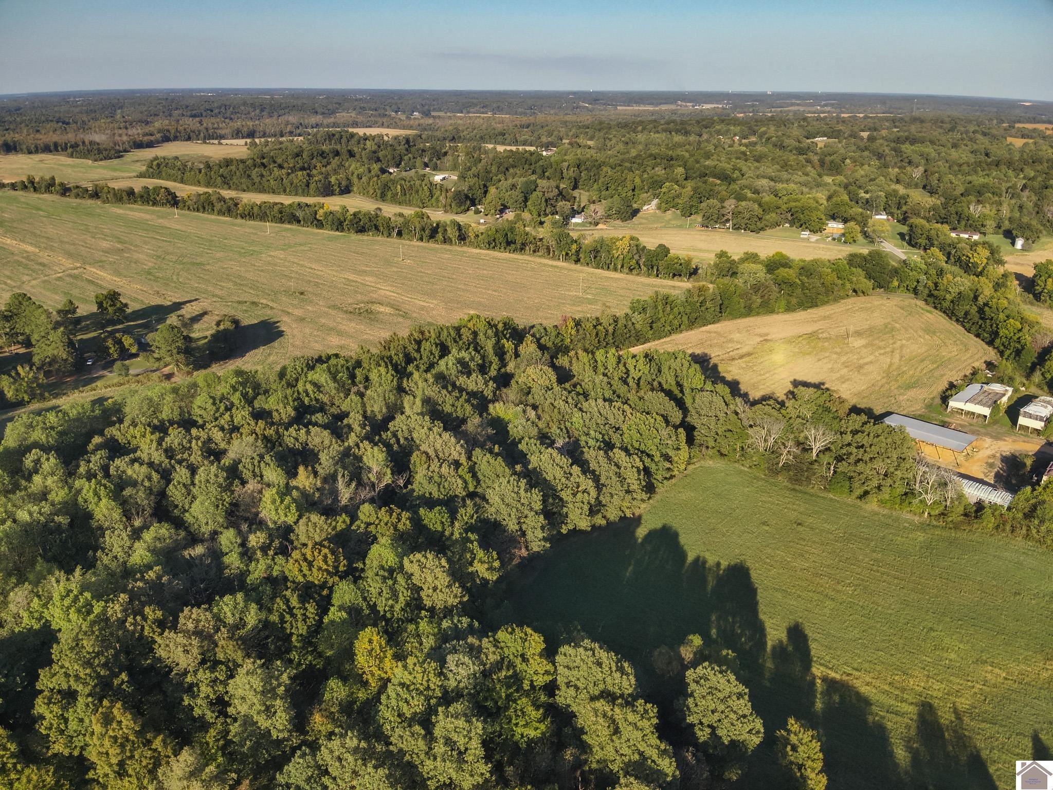 000 State Route 58, Mayfield, KY 42066 Listing Photo  11