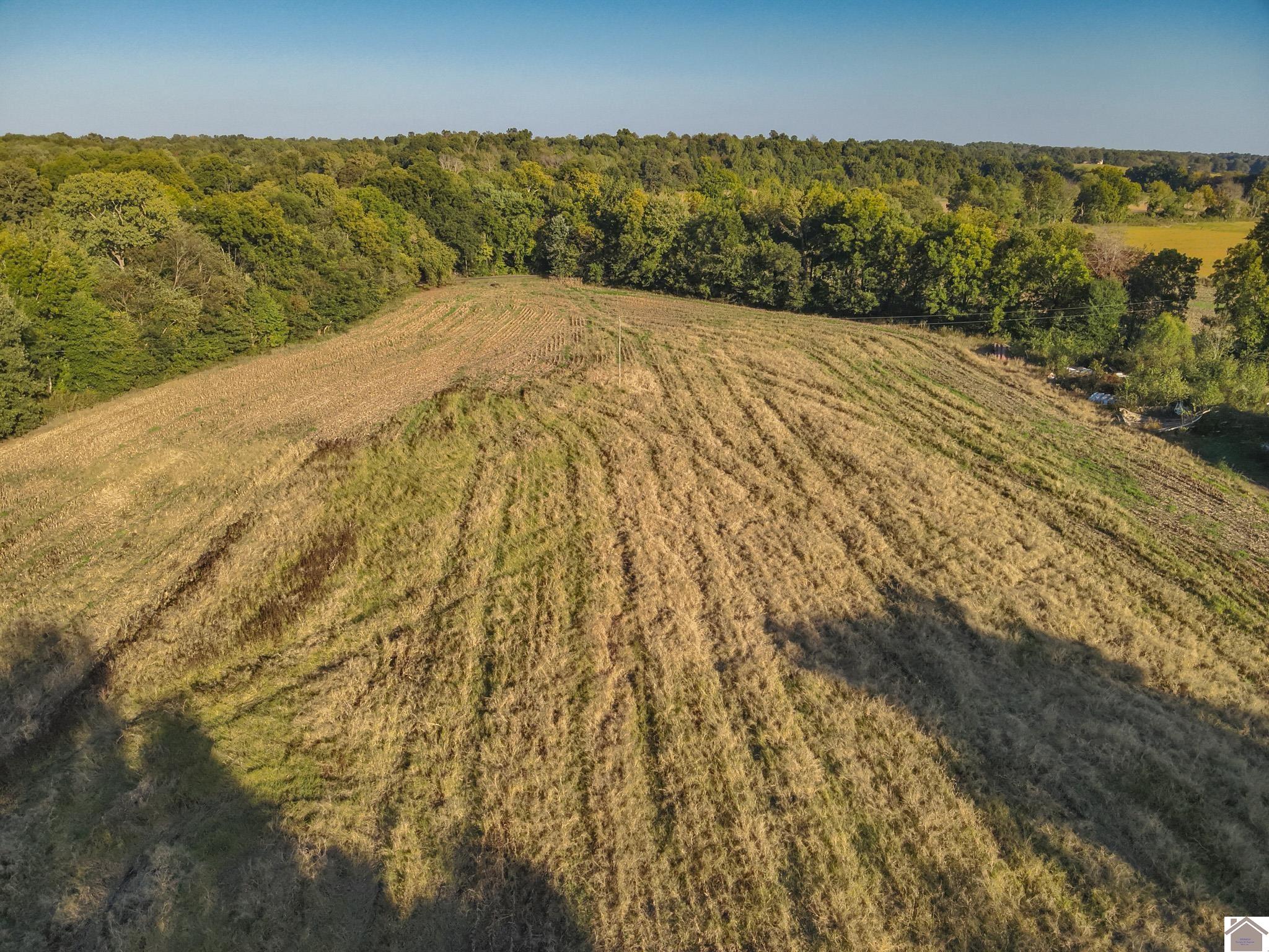 000 State Route 58, Mayfield, KY 42066 Listing Photo  13