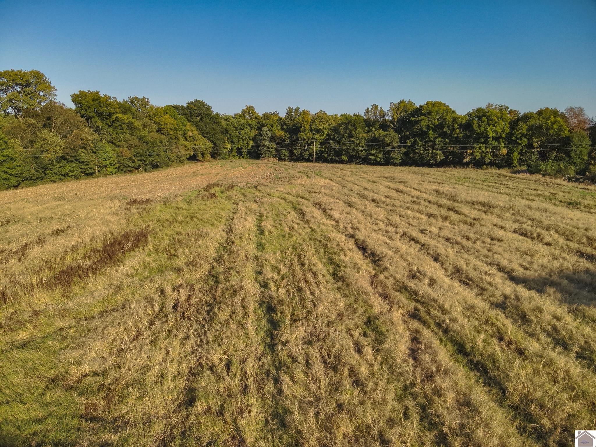 000 State Route 58, Mayfield, KY 42066 Listing Photo  14