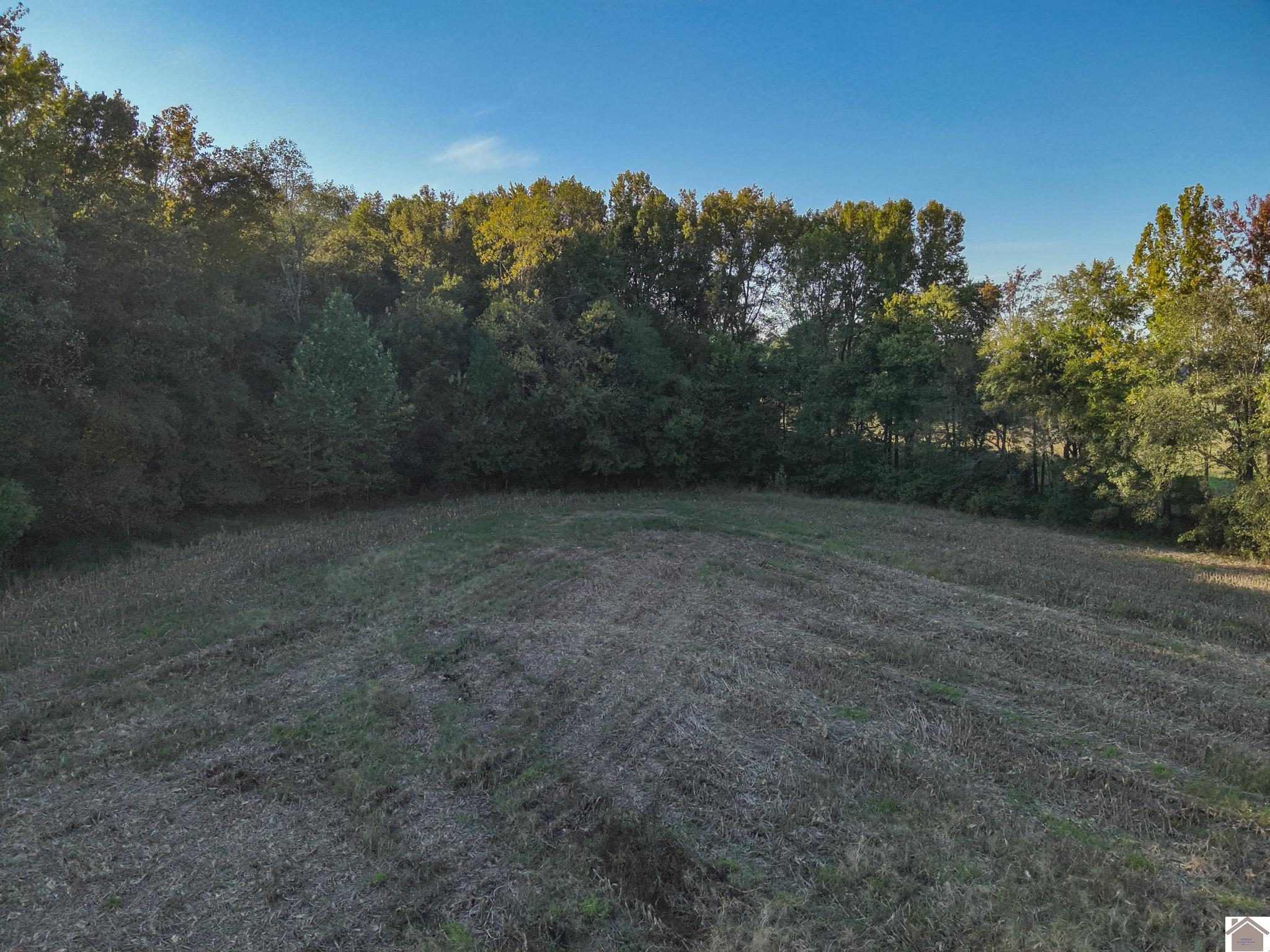 000 State Route 58, Mayfield, KY 42066 Listing Photo  15