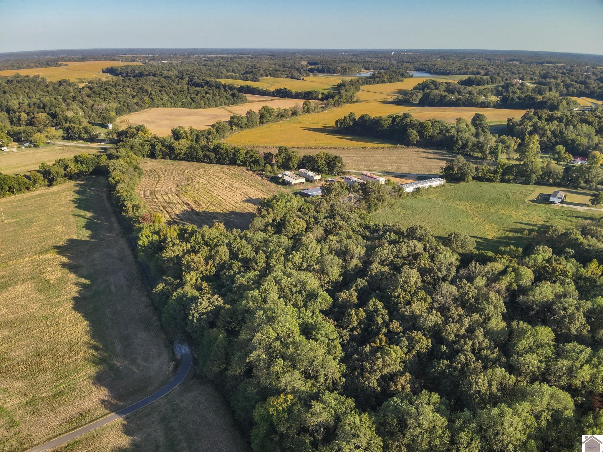 000 State Route 58, Mayfield, KY 42066 Listing Photo  3