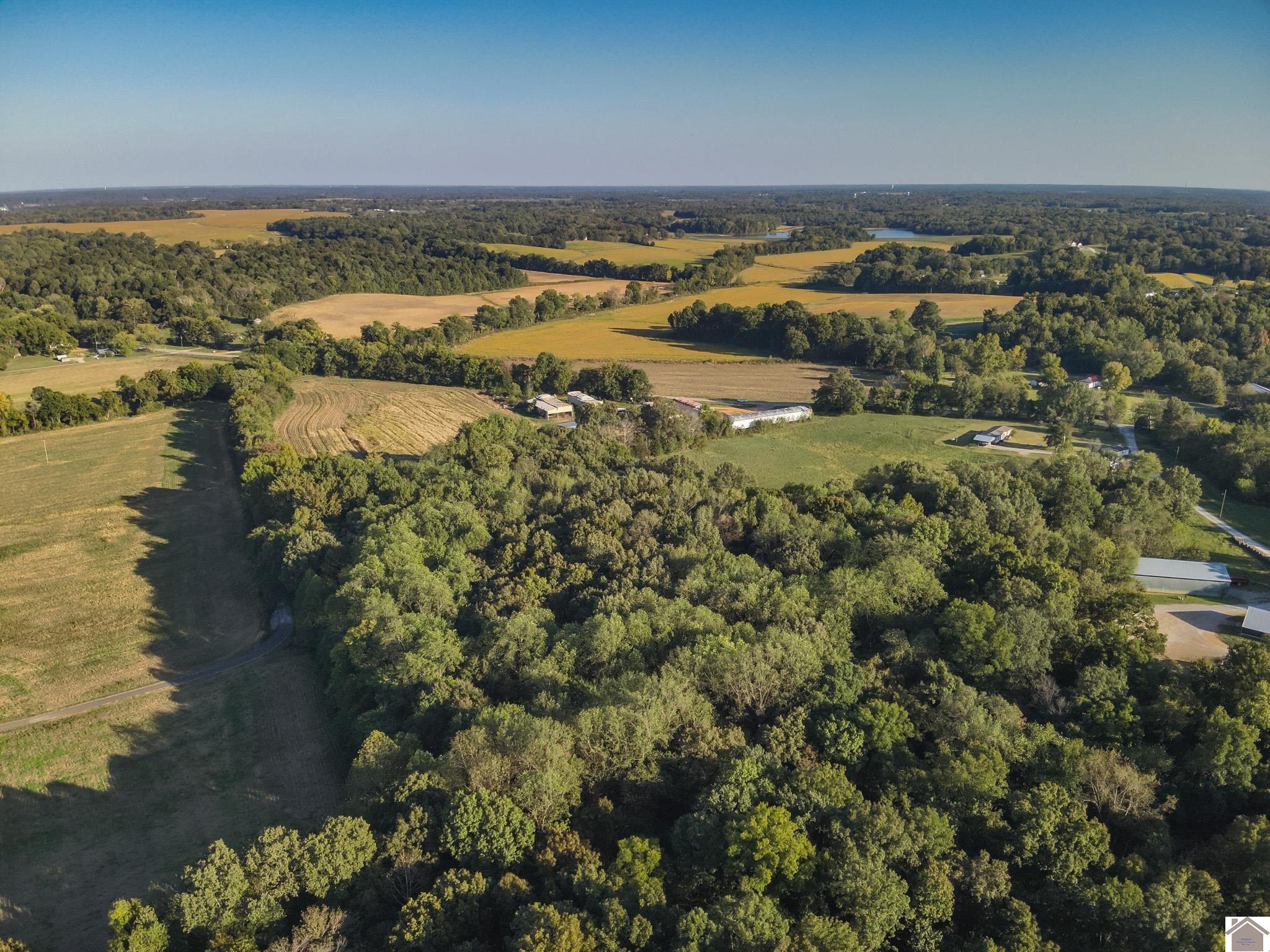 000 State Route 58, Mayfield, KY 42066 Listing Photo  4