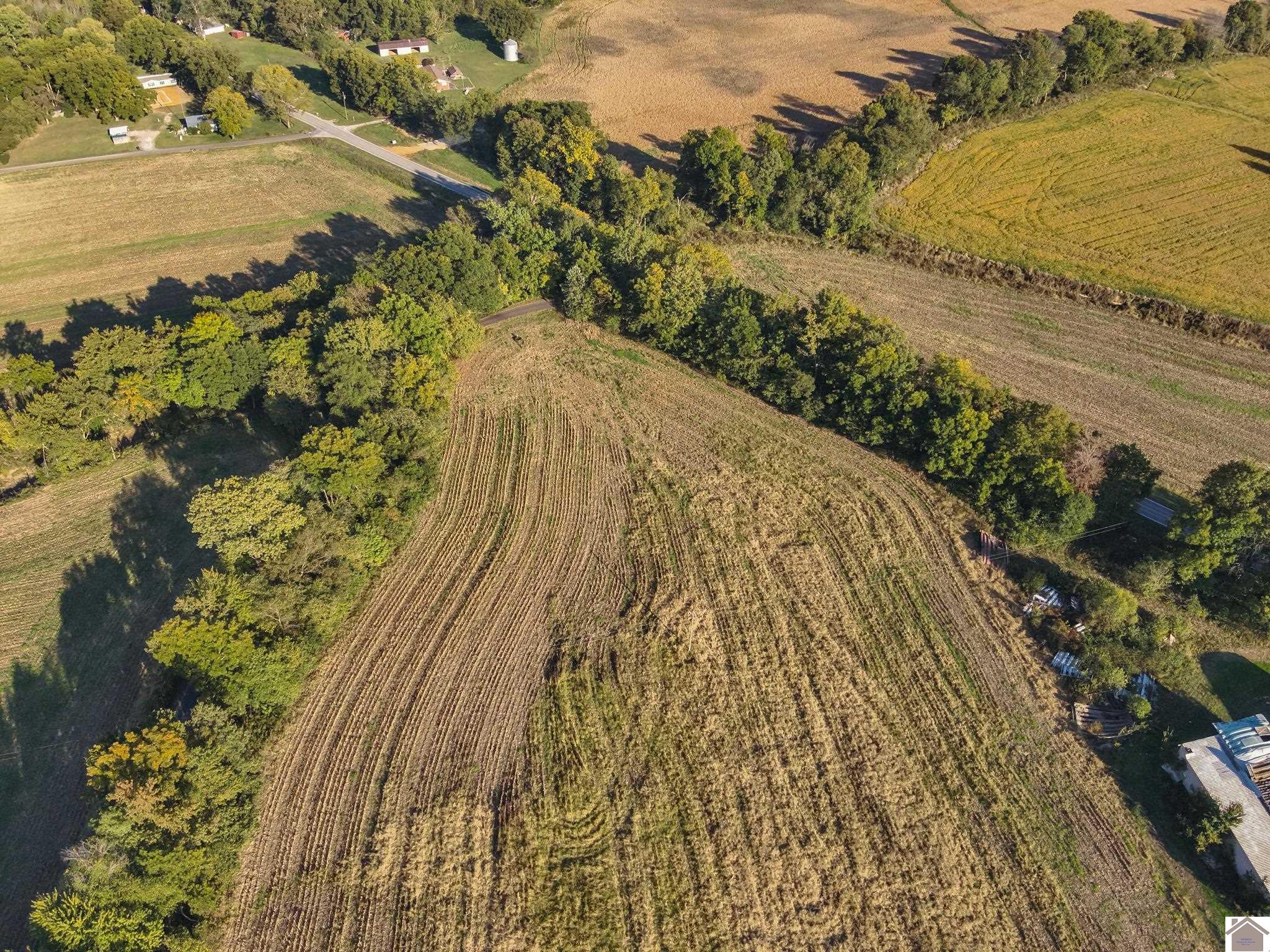 000 State Route 58, Mayfield, KY 42066 Listing Photo  5