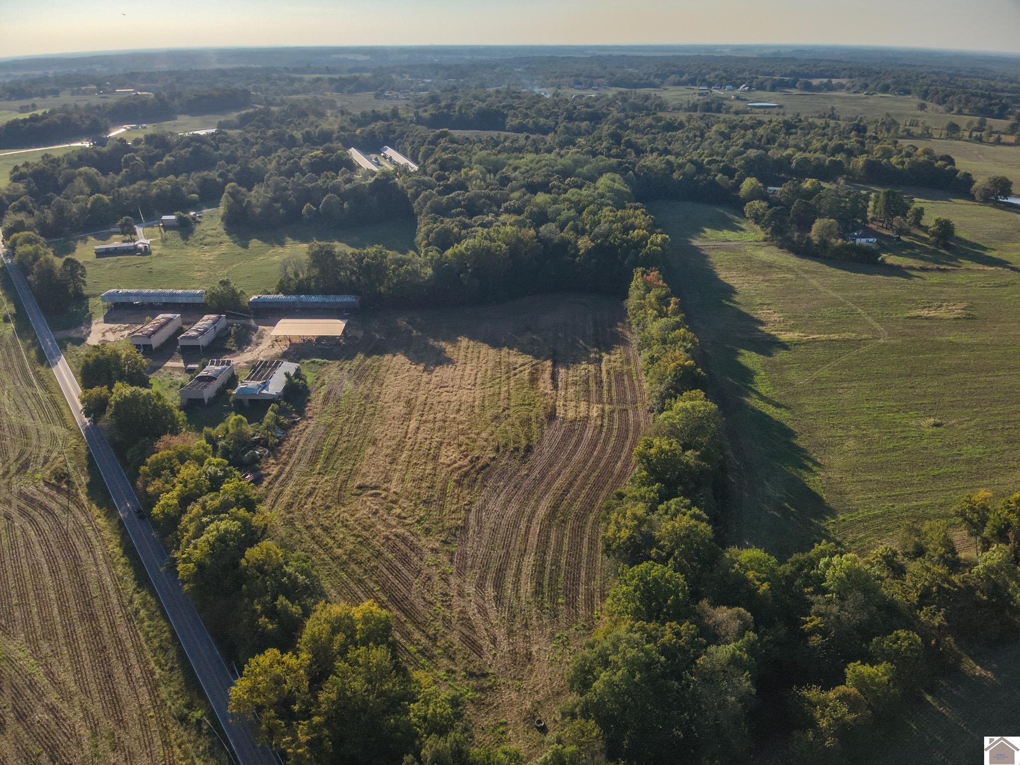 000 State Route 58, Mayfield, KY 42066 Listing Photo  6