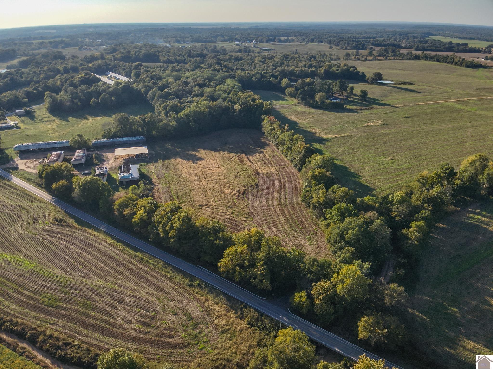 000 State Route 58, Mayfield, KY 42066 Listing Photo  8