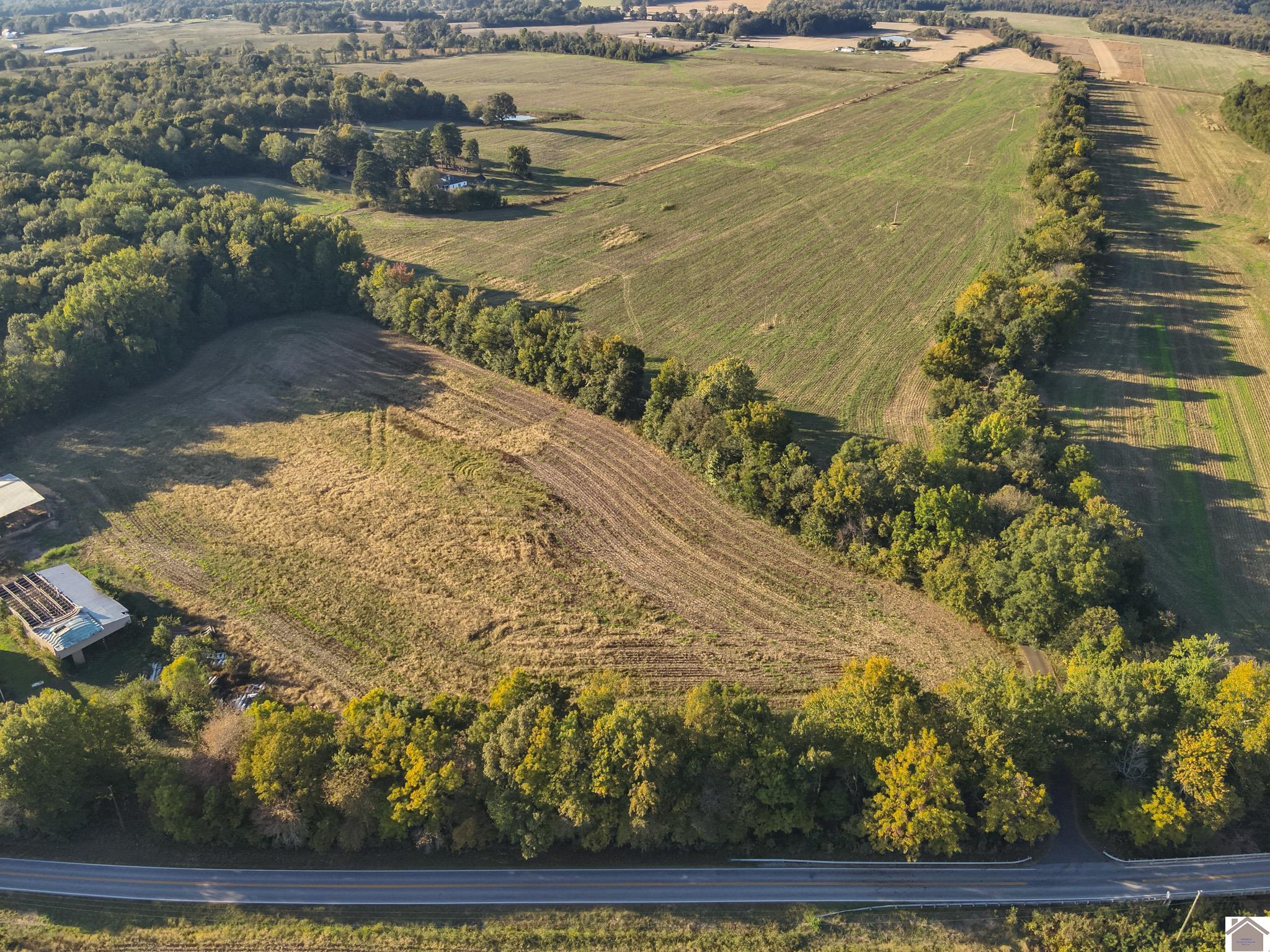 000 State Route 58, Mayfield, KY 42066 Listing Photo  9