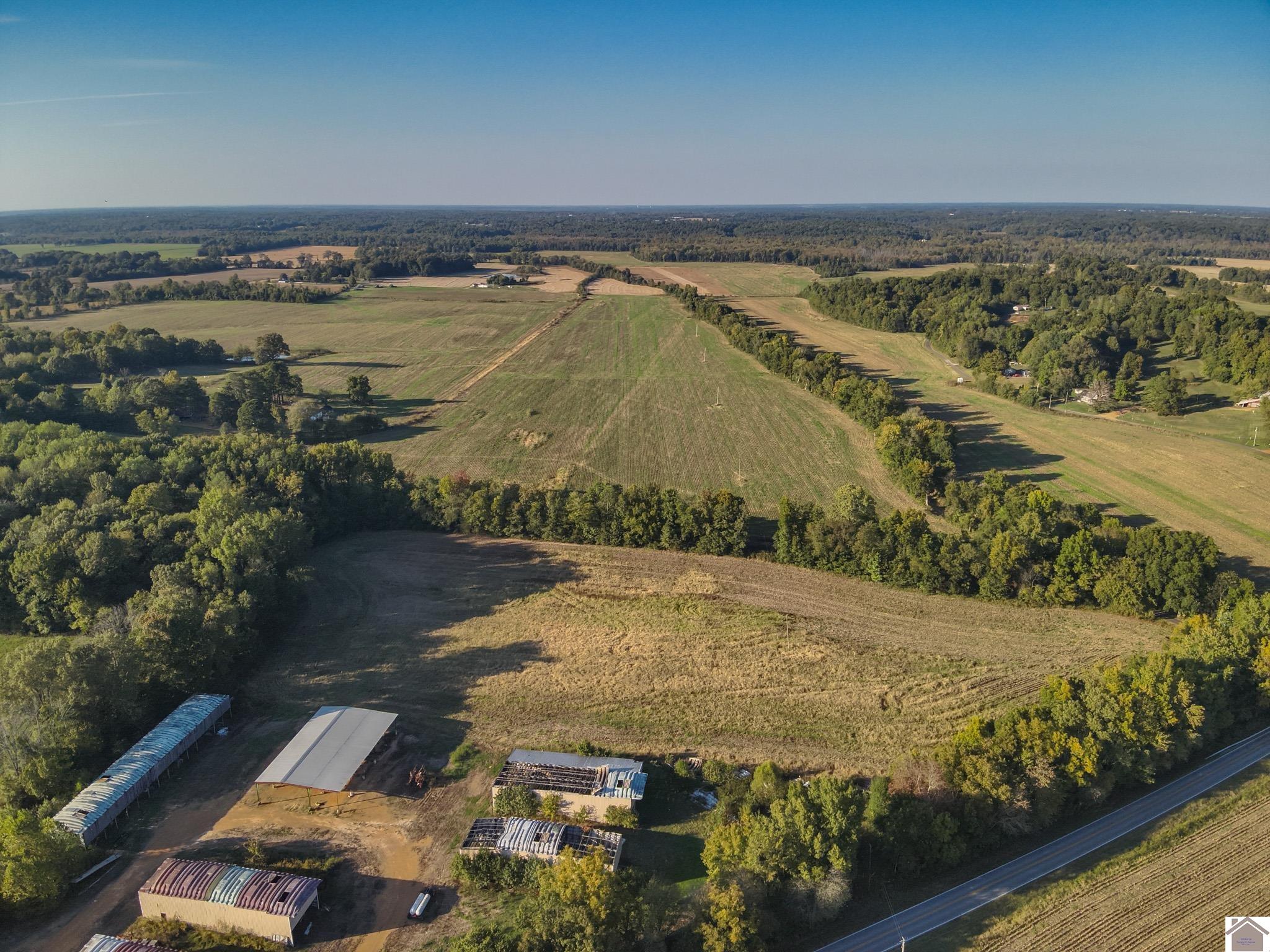 000 State Route 58, Mayfield, KY 42066 Listing Photo  10