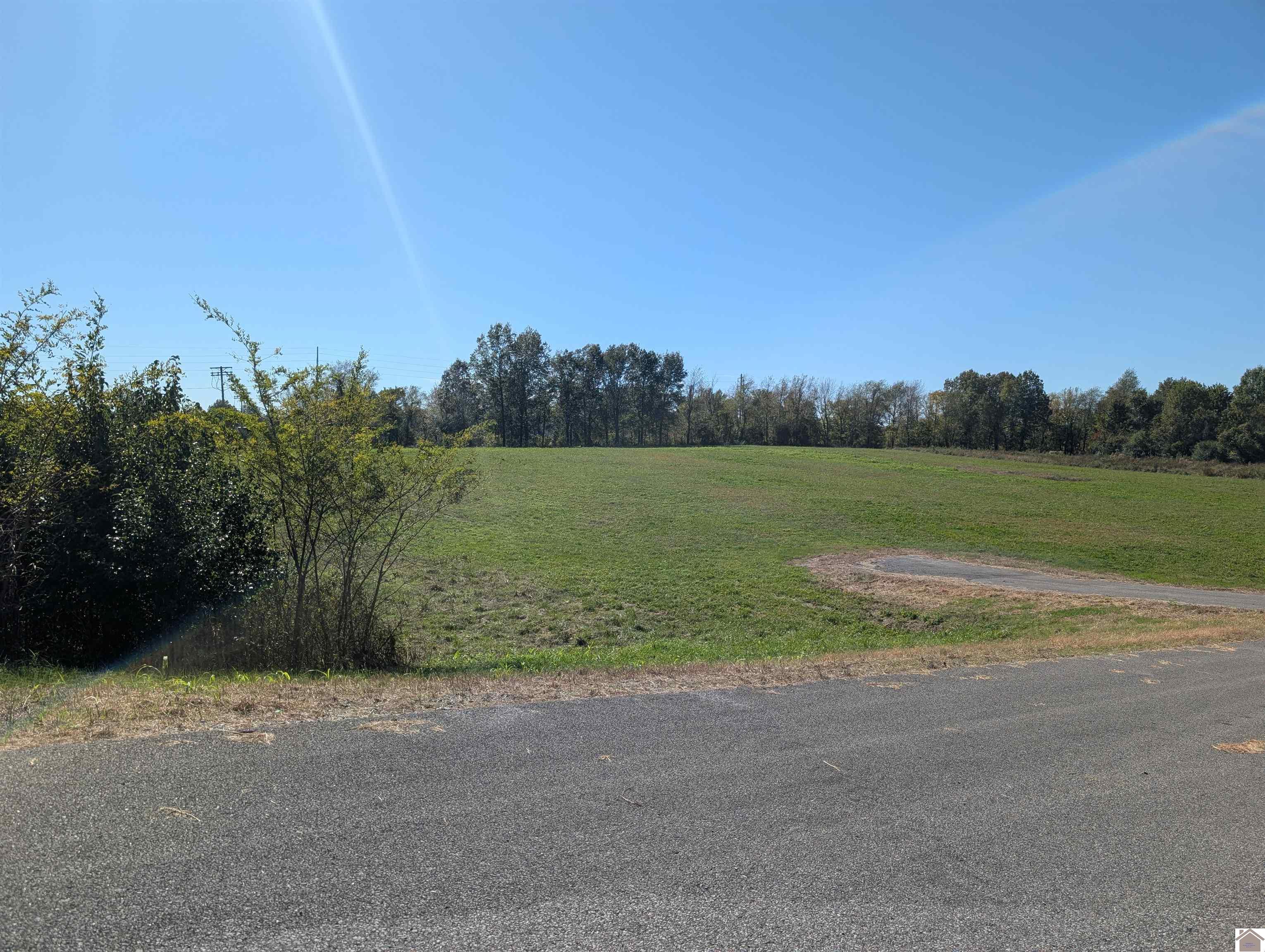 4155-4051 Olivet Church Rd, Paducah, KY 42001 Listing Photo  3
