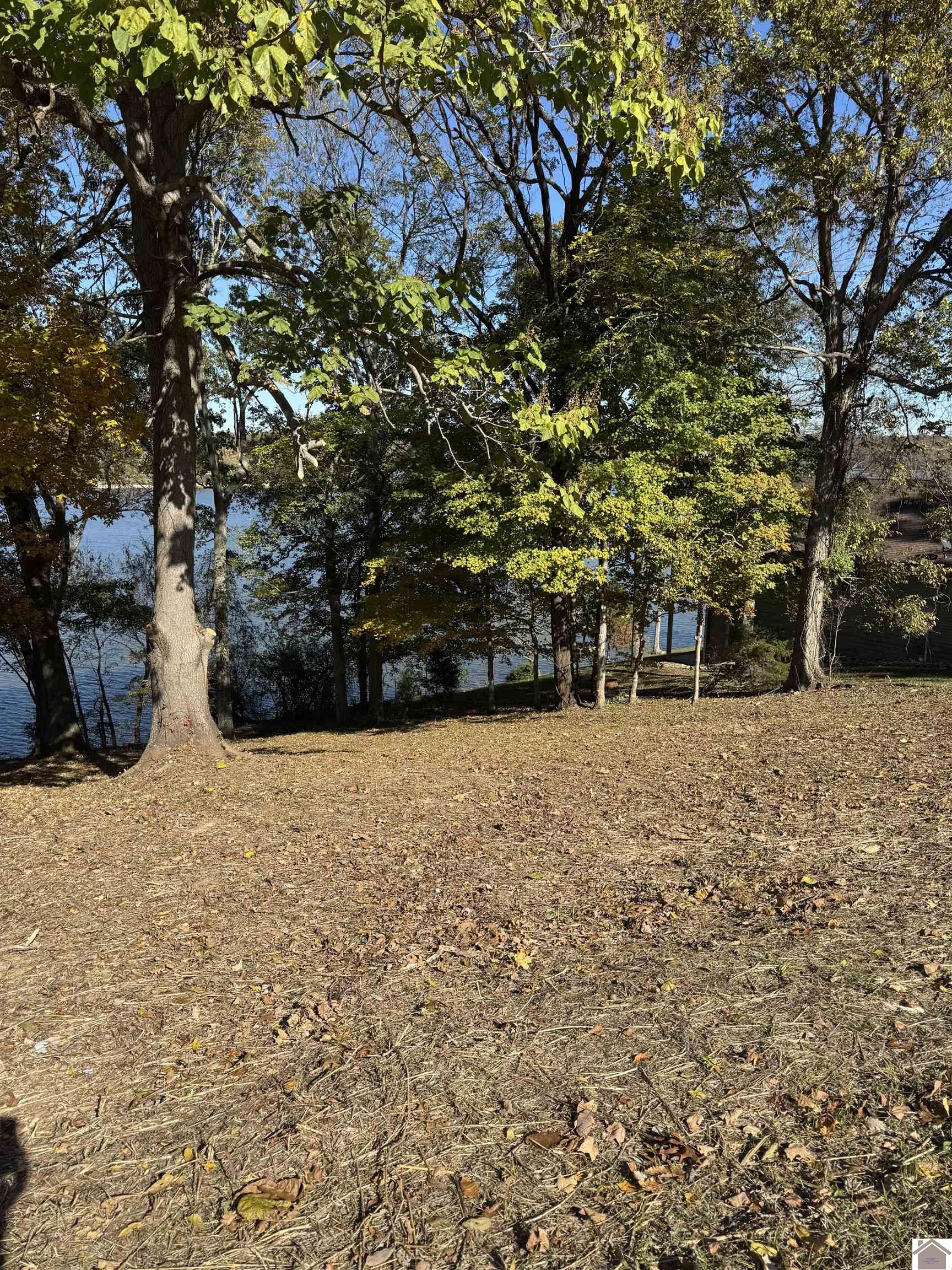 Lot 57 Rimcrest Circle, Cadiz, KY 42211 Listing Photo  4