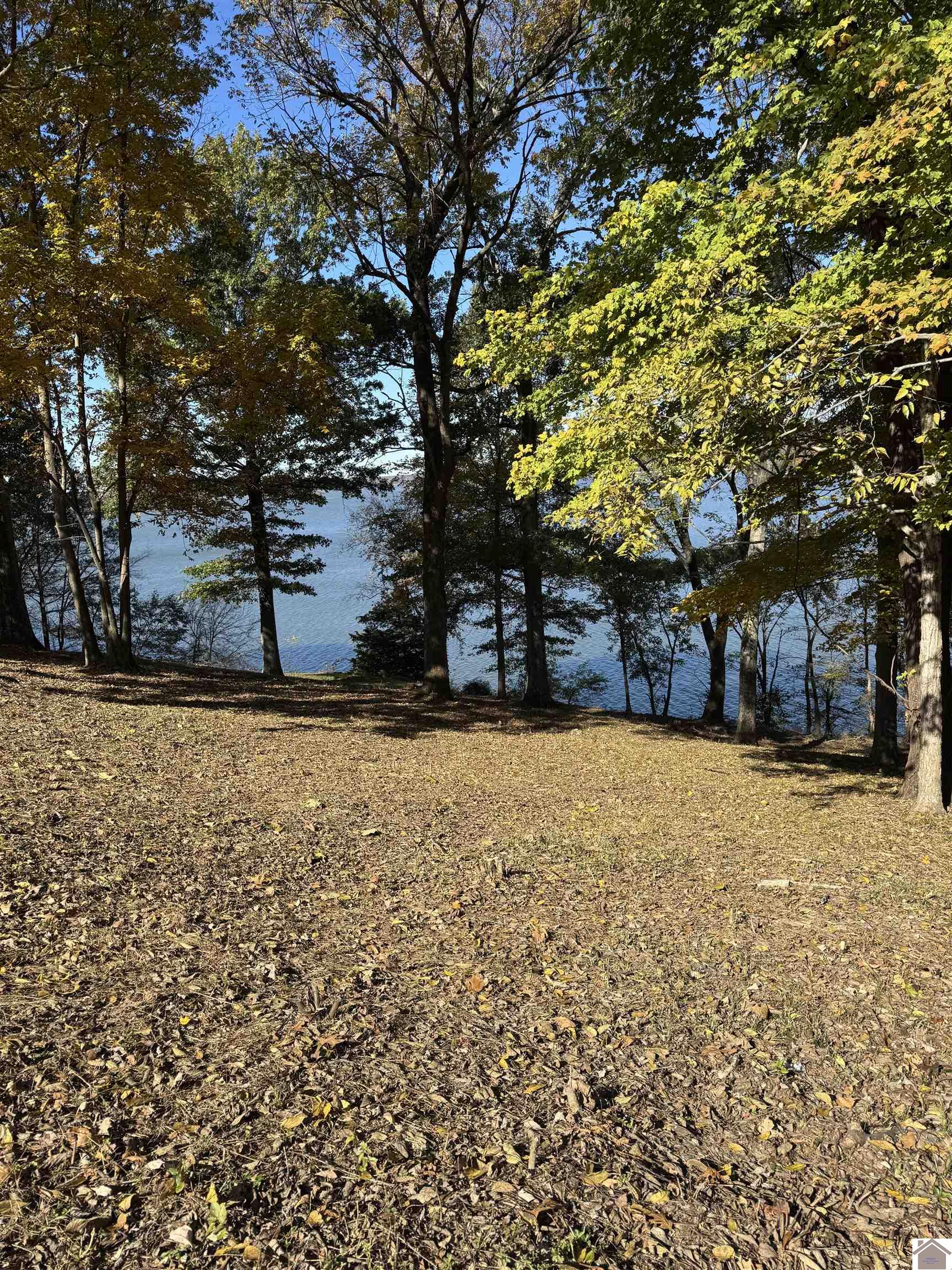 Lot 57 Rimcrest Circle, Cadiz, KY 42211 Listing Photo  5
