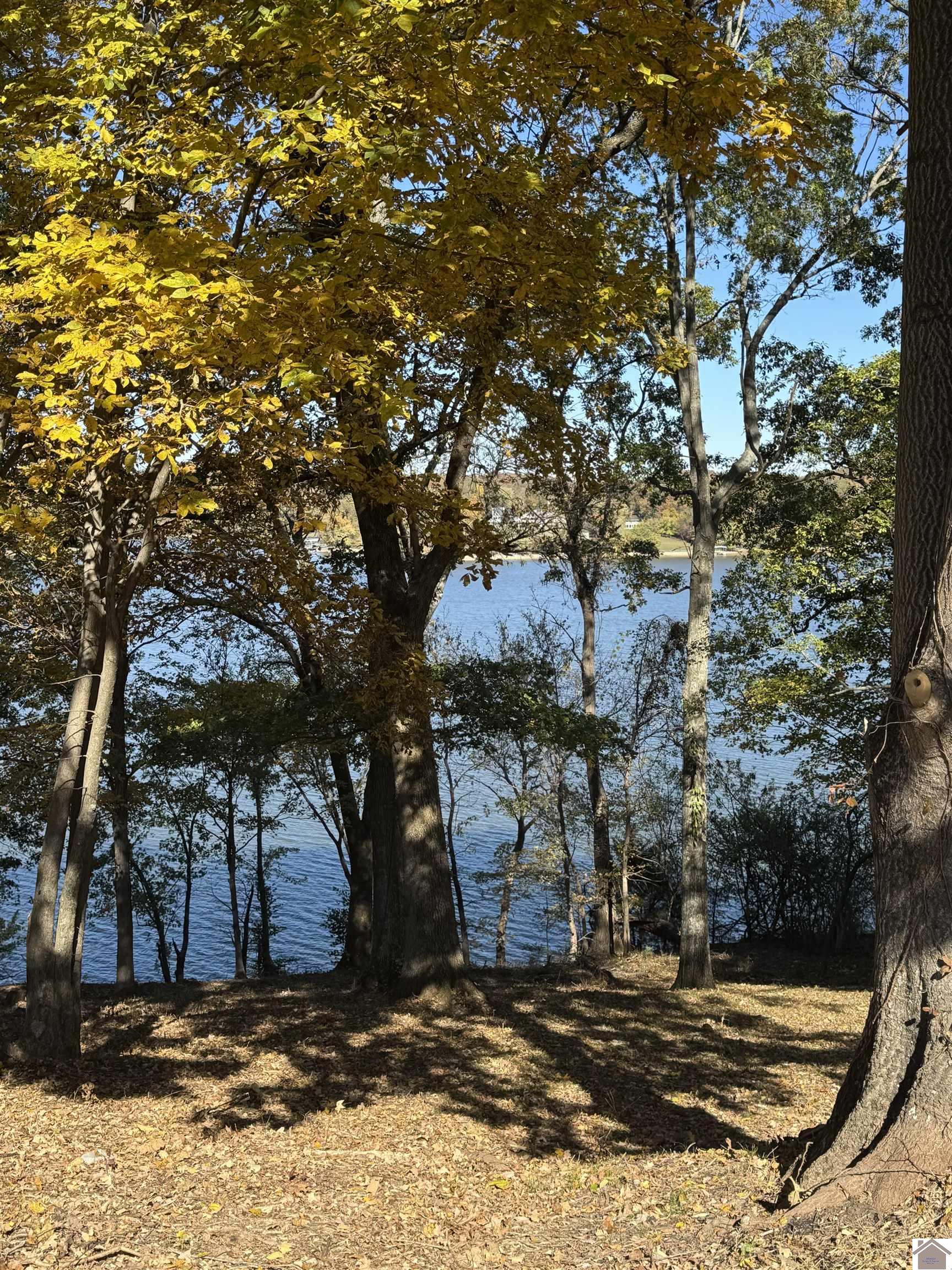 Lot 57 Rimcrest Circle, Cadiz, KY 42211 Listing Photo  6