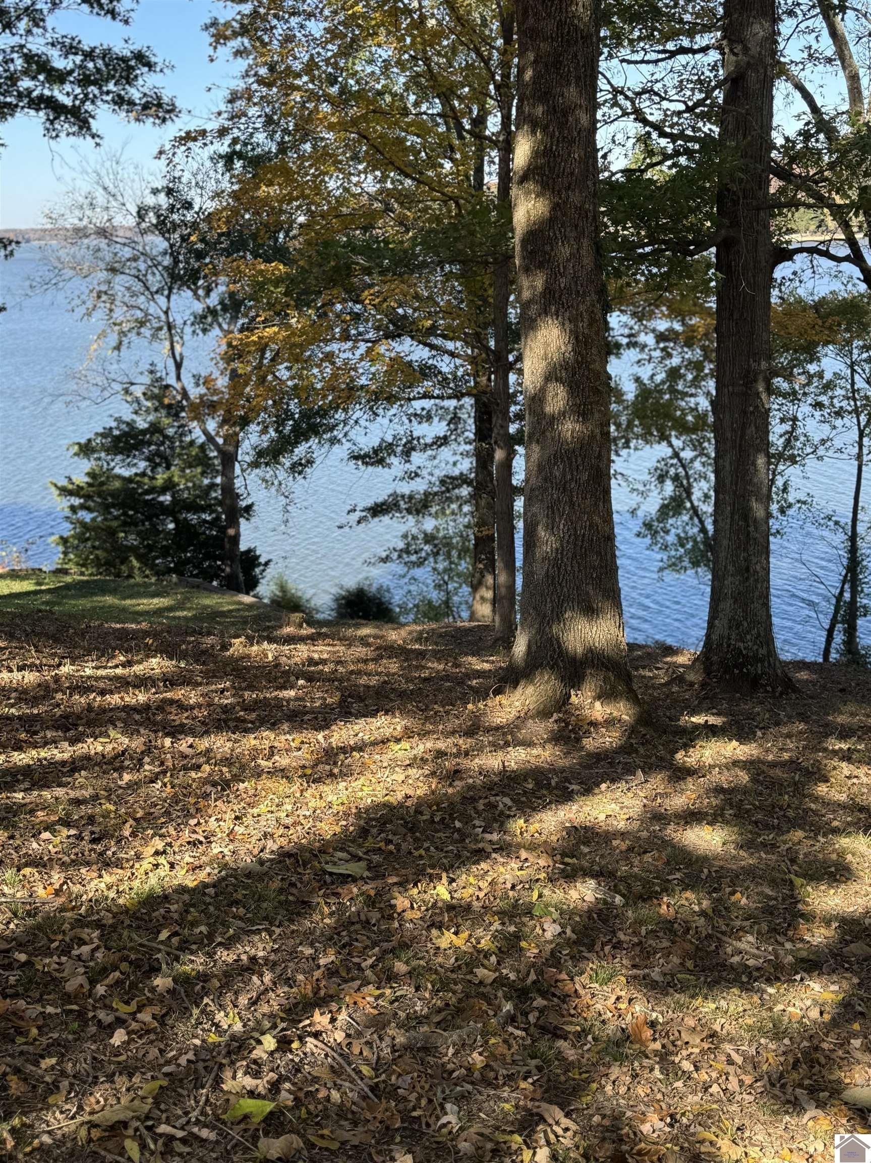 Lot 57 Rimcrest Circle, Cadiz, KY 42211 Listing Photo  8